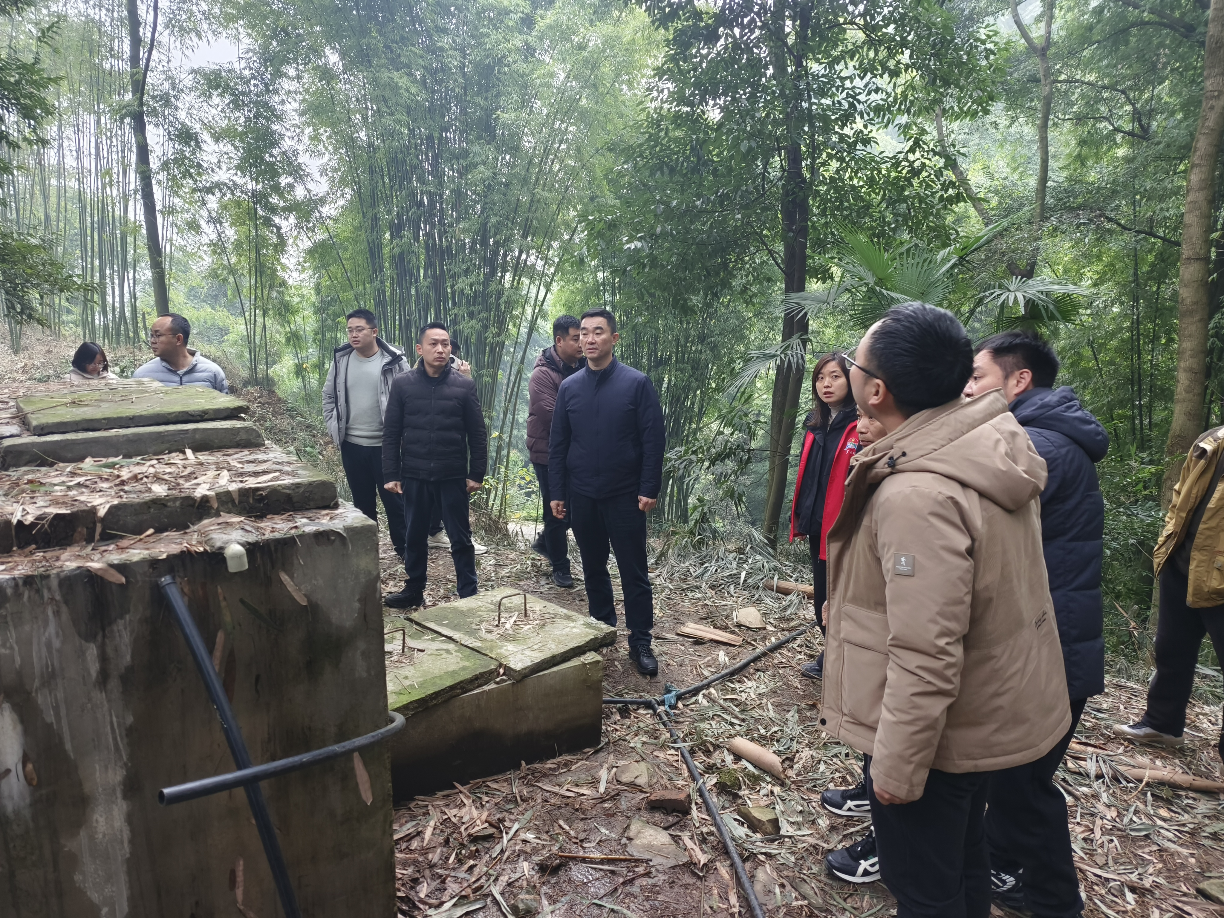 图片1：简报第2期