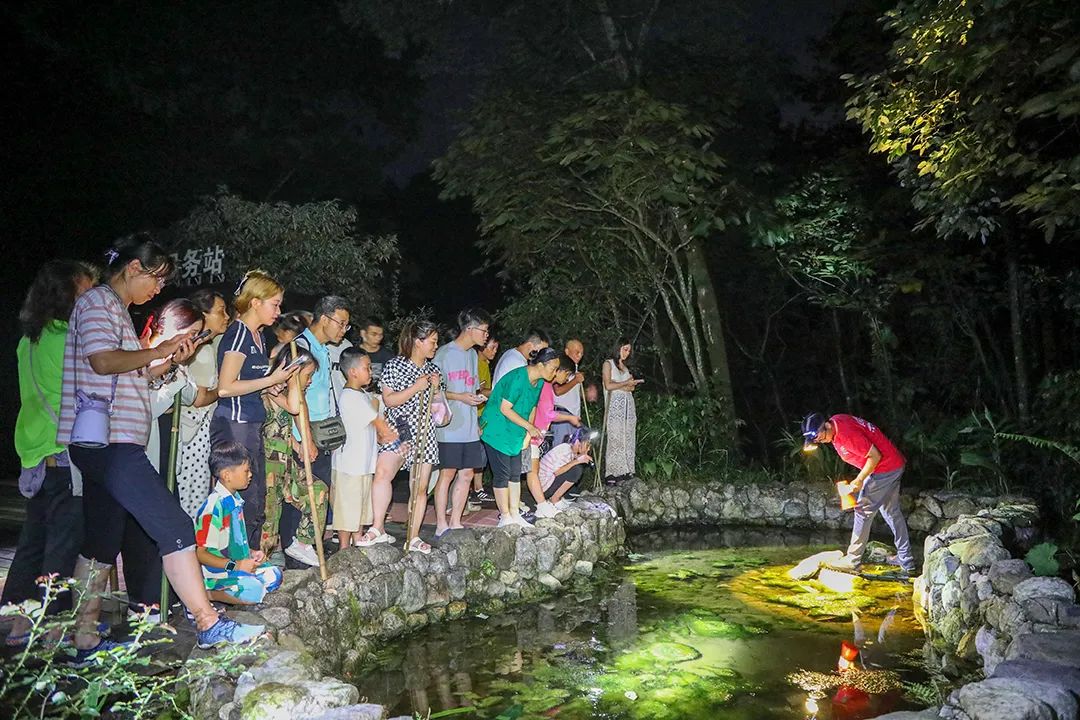 f291c583d515498e8e8a271f45dccd905