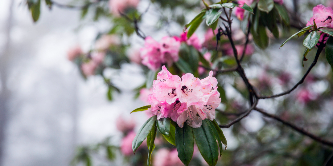 71fc26006bfd43a8b0ebe47f79f2143e02