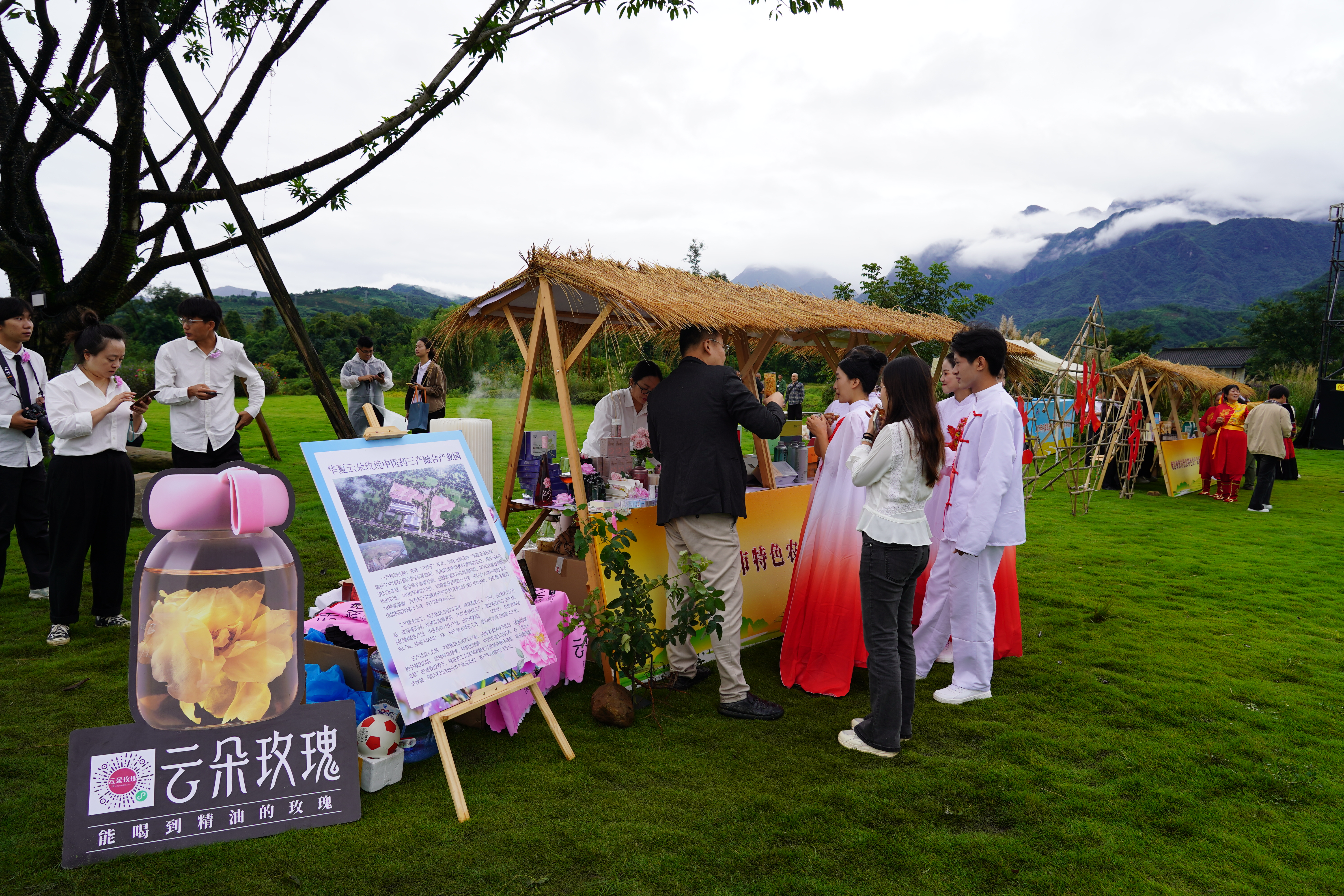 a0c803c97a51466991761e00f93b424109