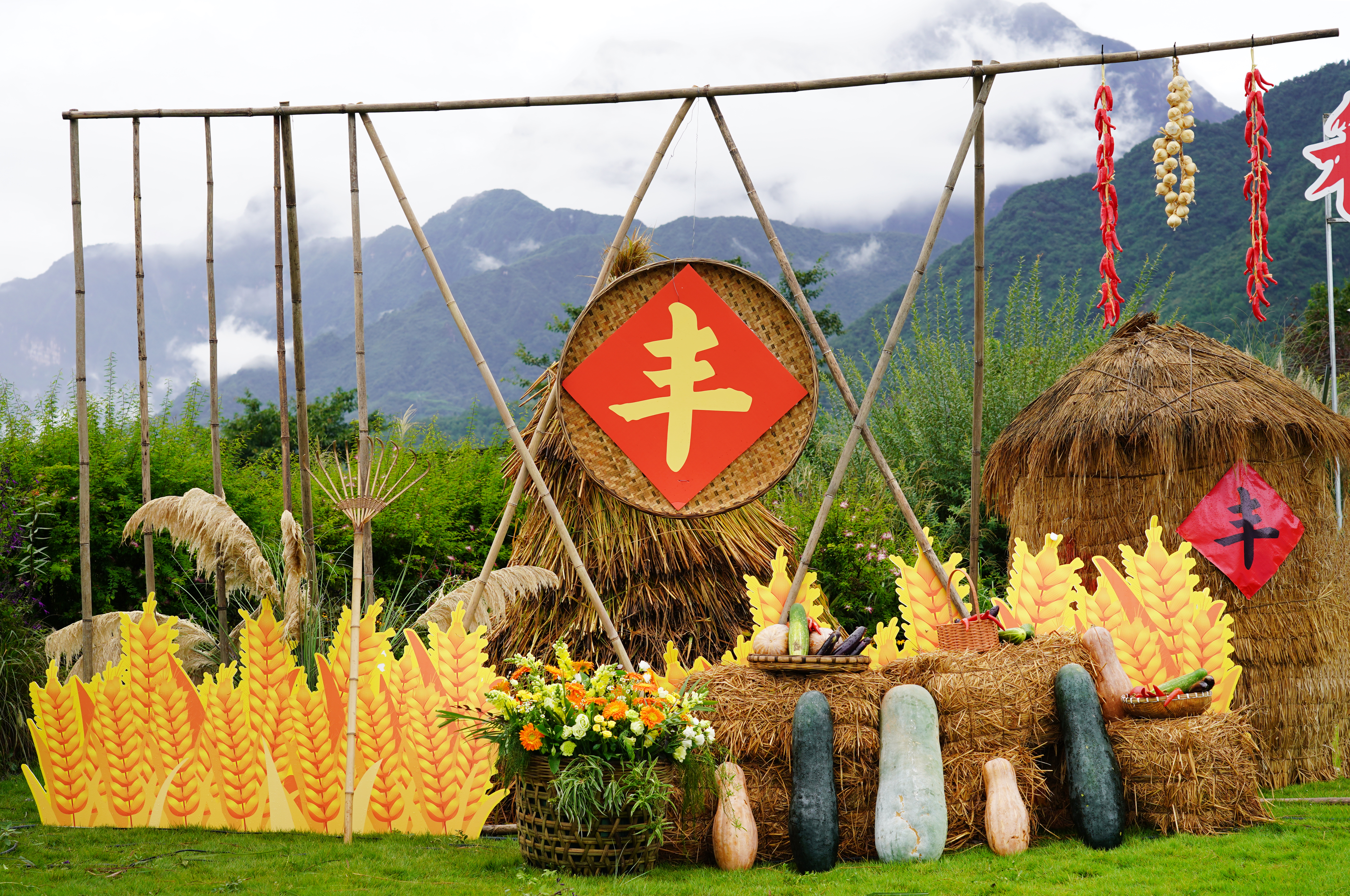 27243636af91491584dc7b0a5386a51e11