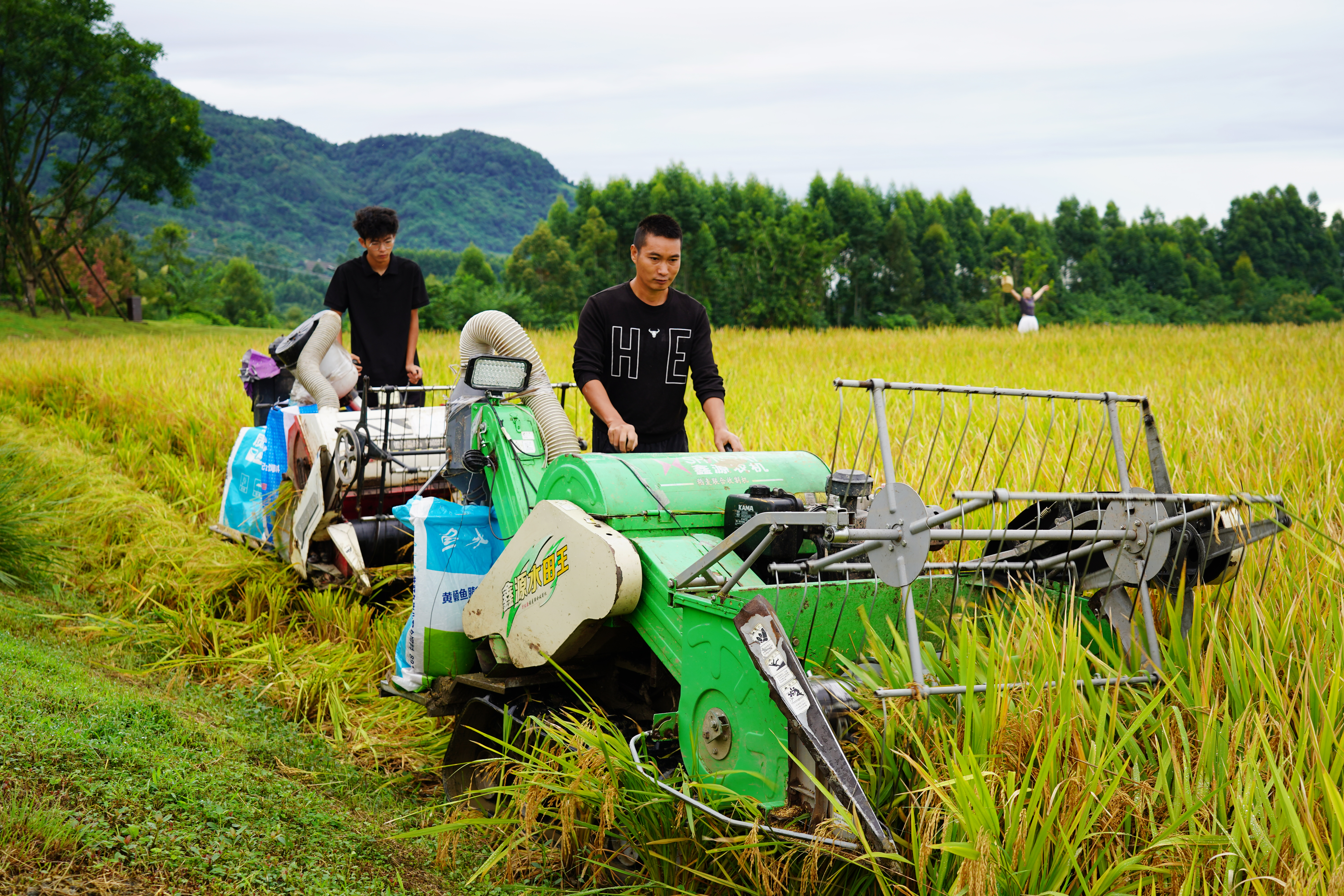 019e9cffd5ad400fbf2a1caa6bb7eaa906