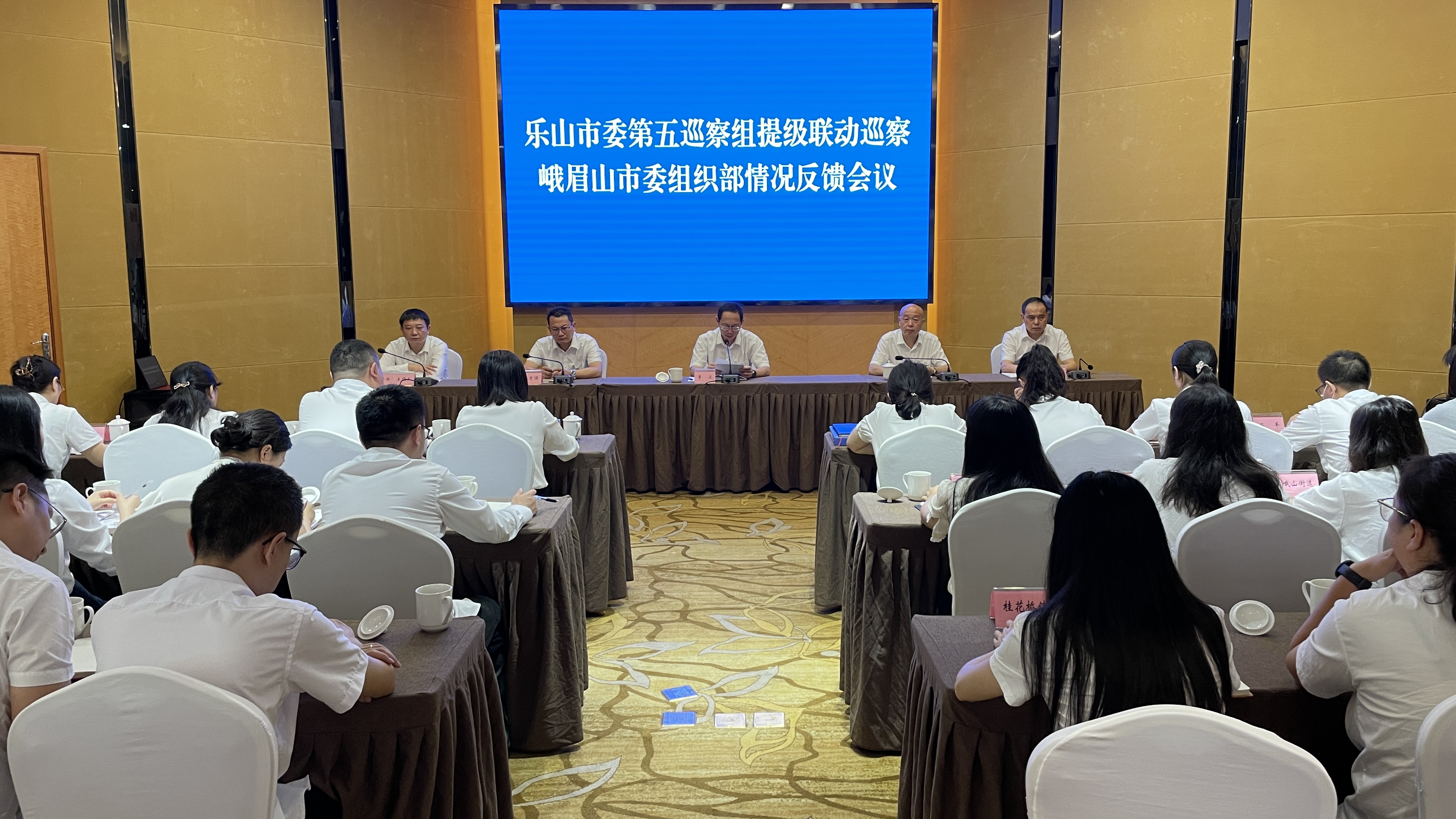 04b8c52f07ab41c5a505542d77f049778