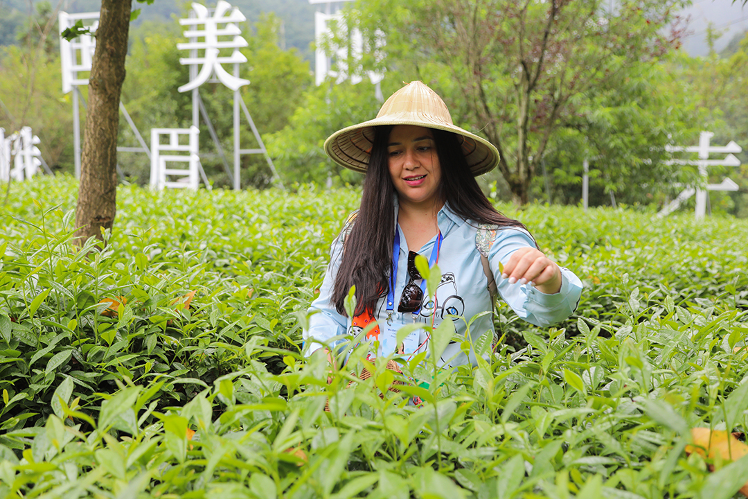 60ff18b2b66d45349203fde1a91239254