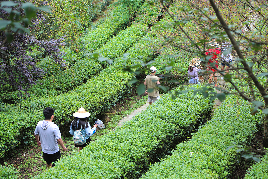 ddc5349e08794c8ead22b00ea9281d451