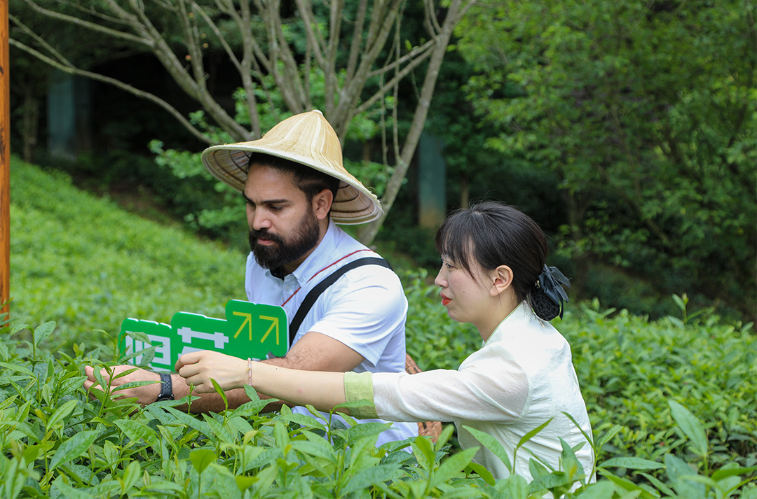 7f0988d750d34f65bd03042ec3ebf6c42