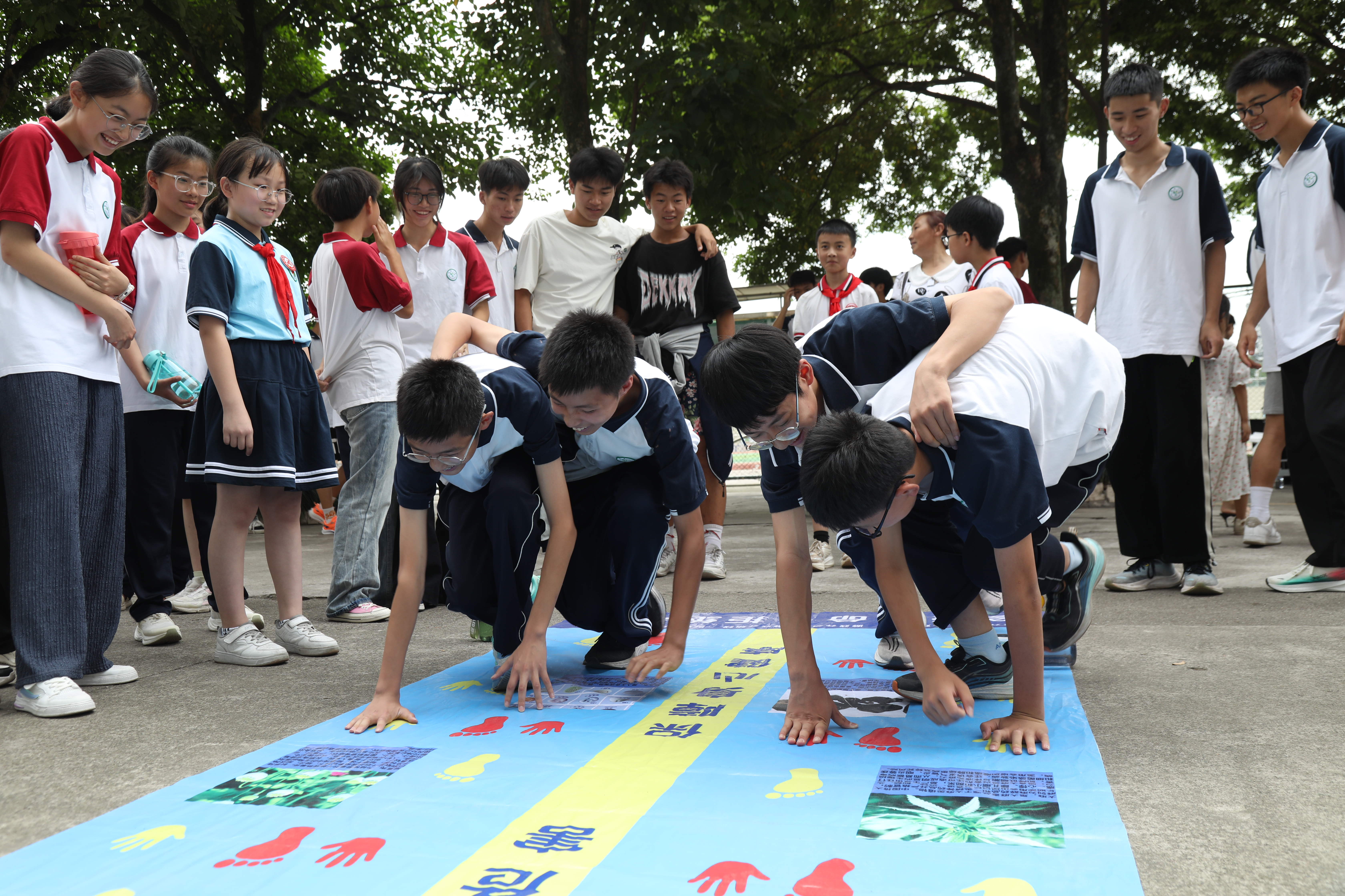 95590c210b744dc9b554ac812db1e95206