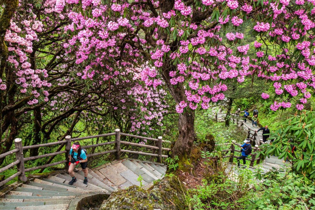 3d778c716e0248dfa4ea955a41826aec09