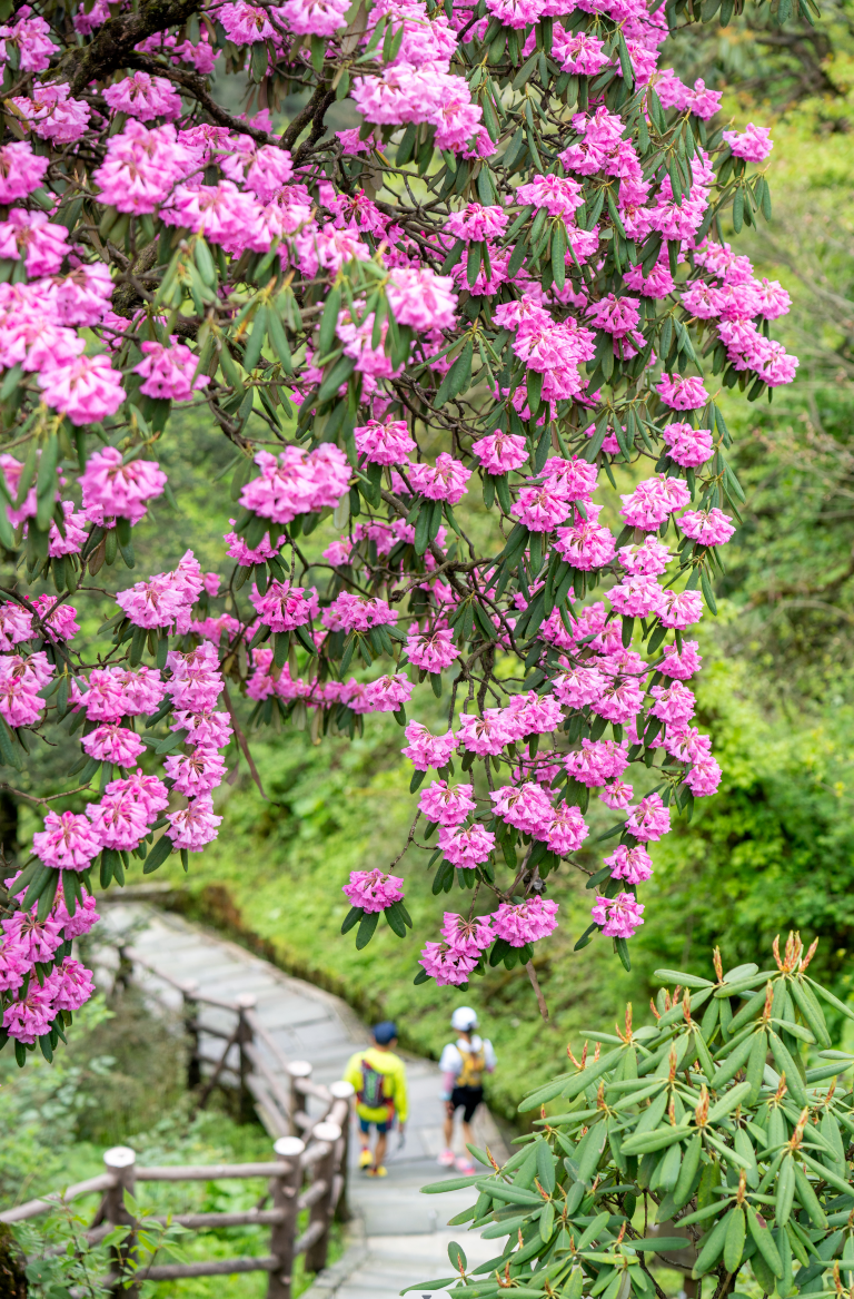 4cc84d2e40a2412bb0075c1ecd95ce2507