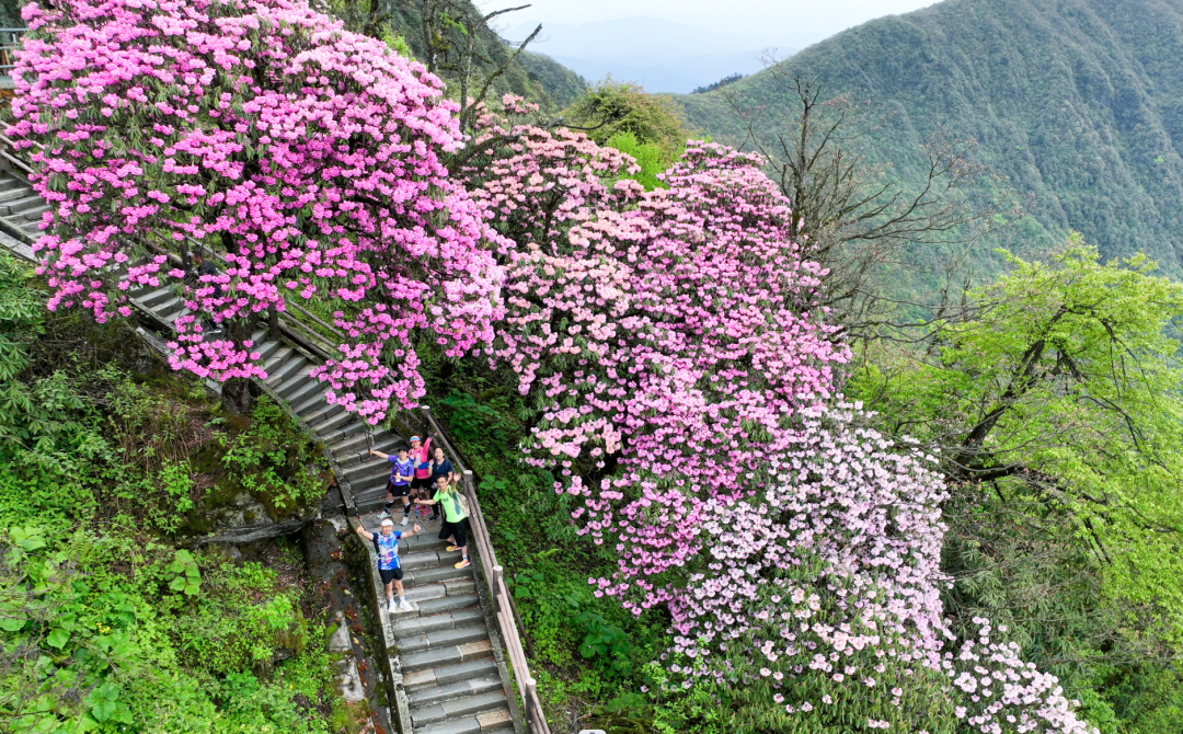 8a13038258b640f9be0b0bc284f0b4b302