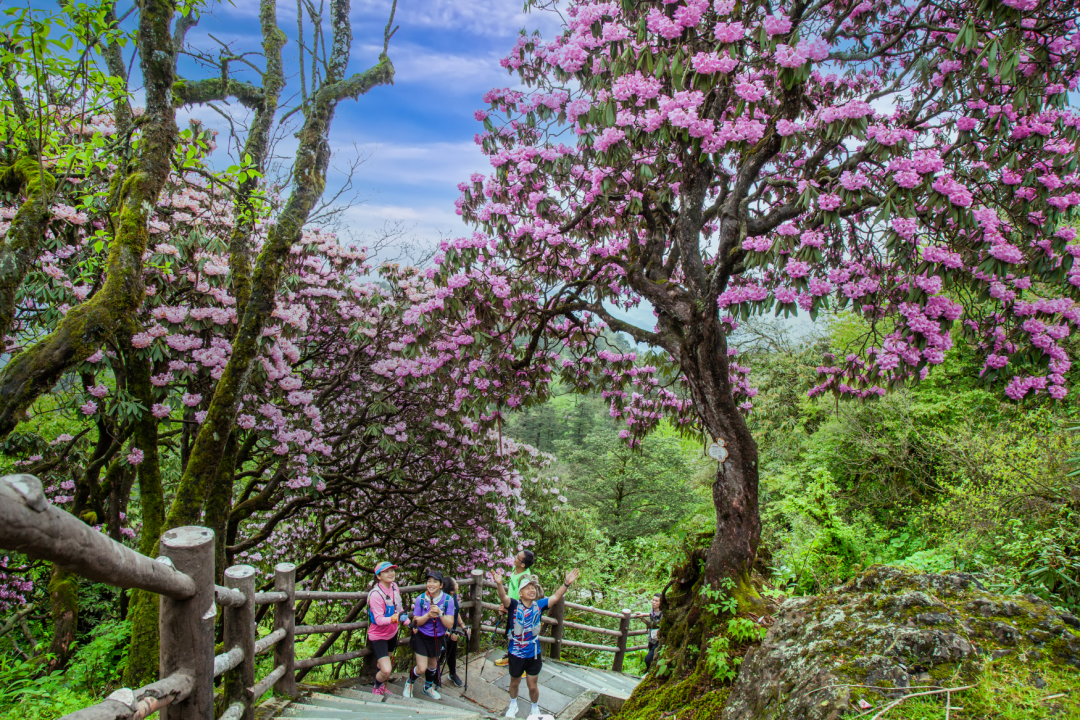 d353f0a09c3143b88d1483320c3a4e4506