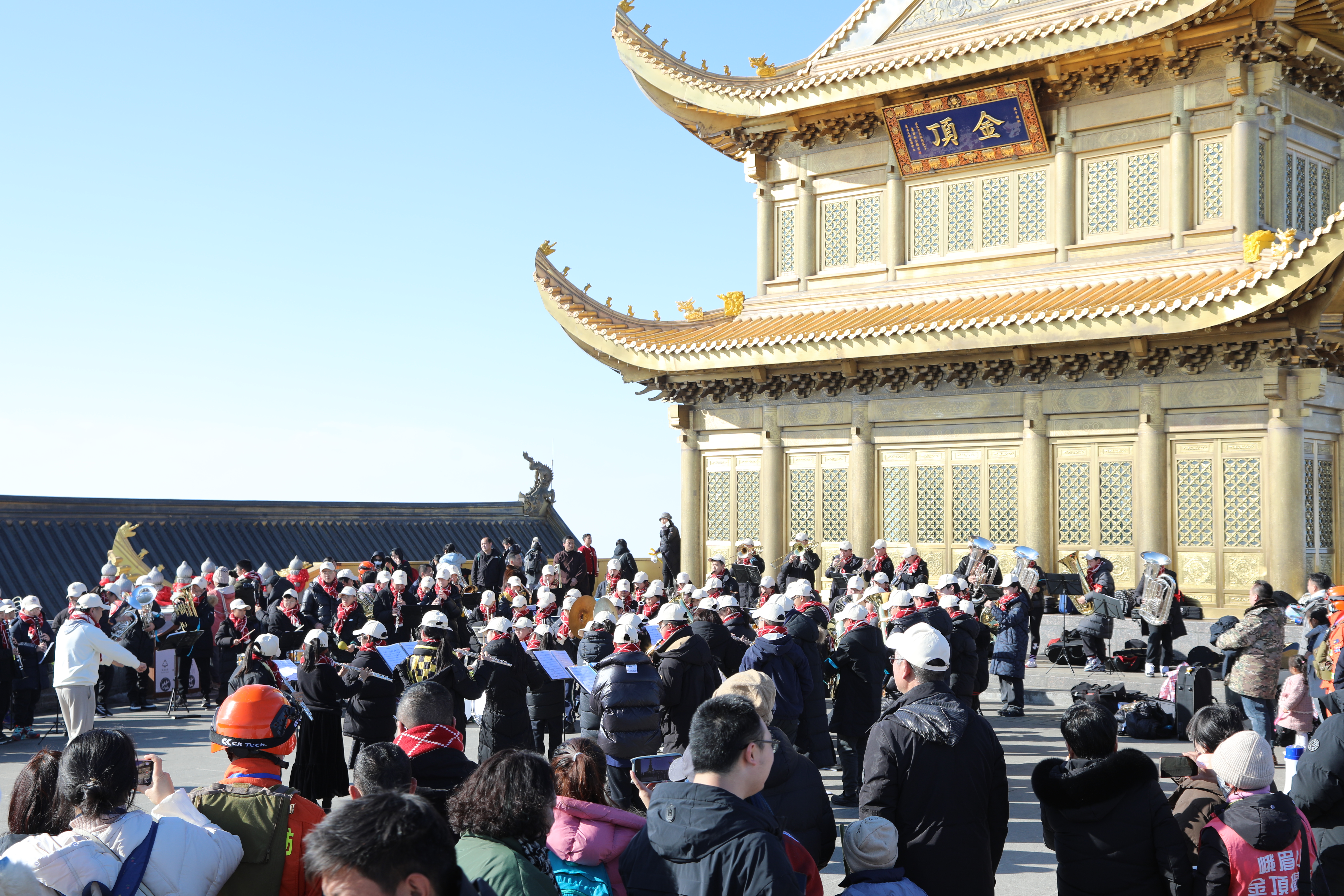 a509638a39054476b5663bd48419e49b02