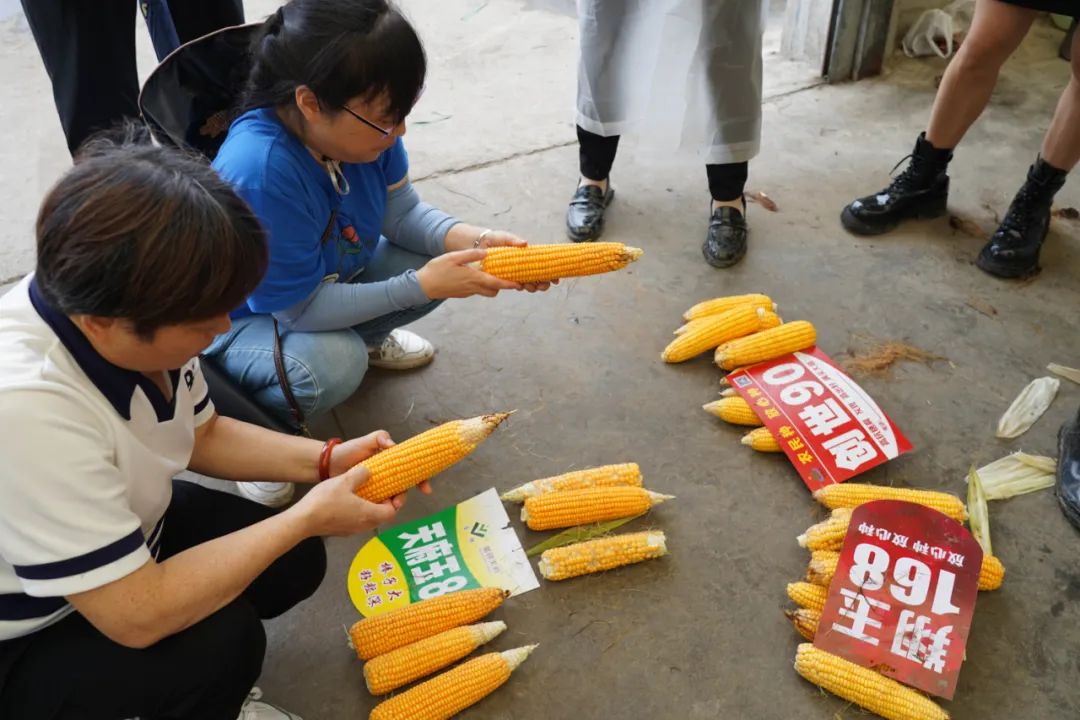 9a935328e8024f5e8b567ff1e3981dd65