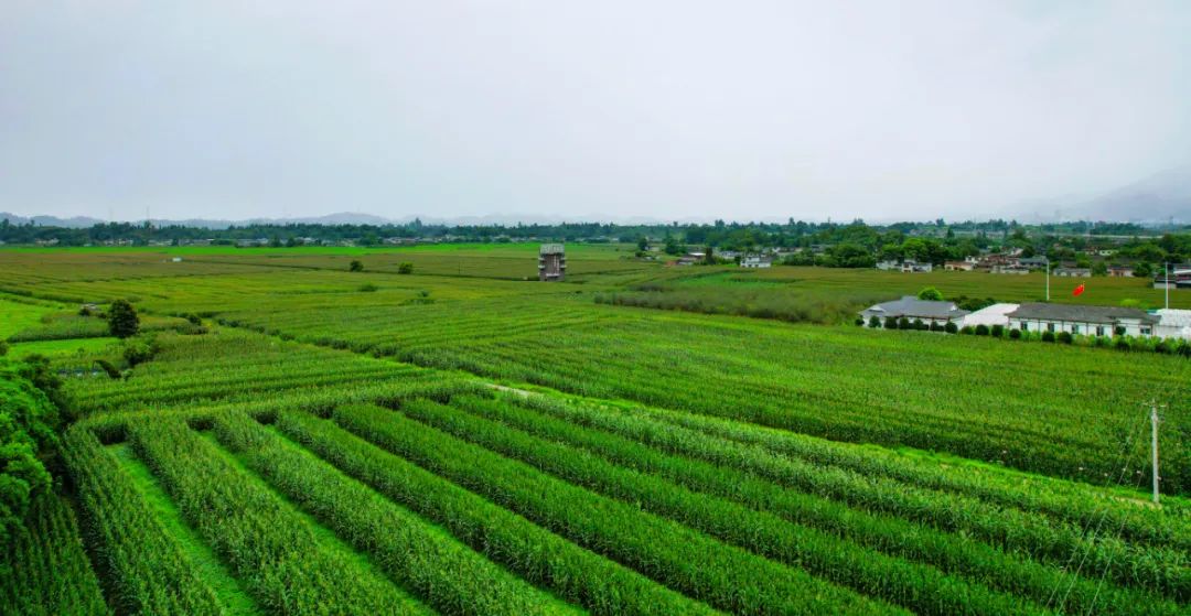 74954389db3f4a16b034cfb0f5e19f161