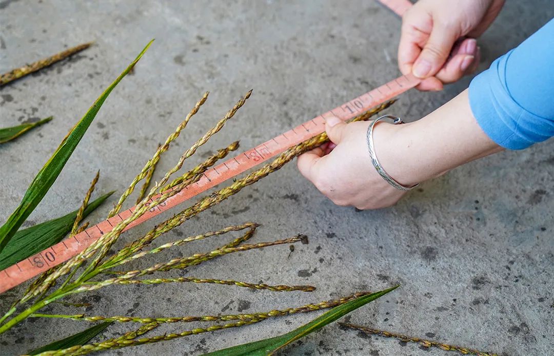 6d57e40ceab14f068869a630d5ddd4aa3