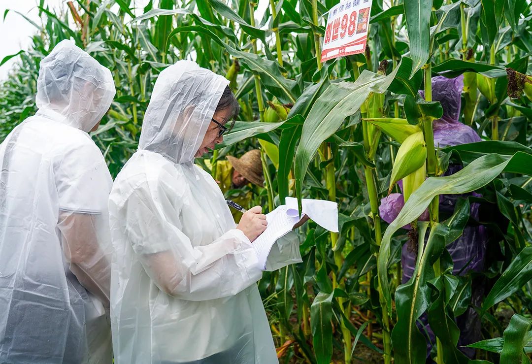 5be40952ee5d41ce915d8d5ad99964db2