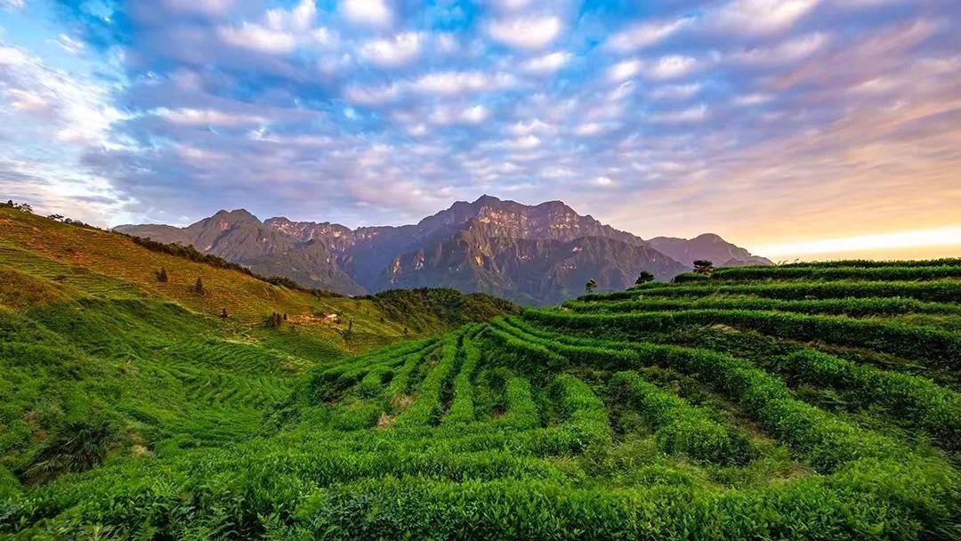 019fc8e841af4c5880020d90ee6ab3027