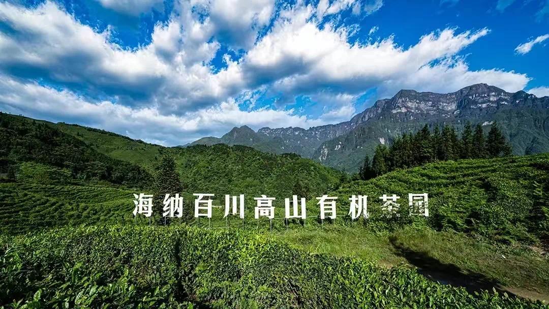 7a9d5b5ad180469b89de3b17a08a29e76