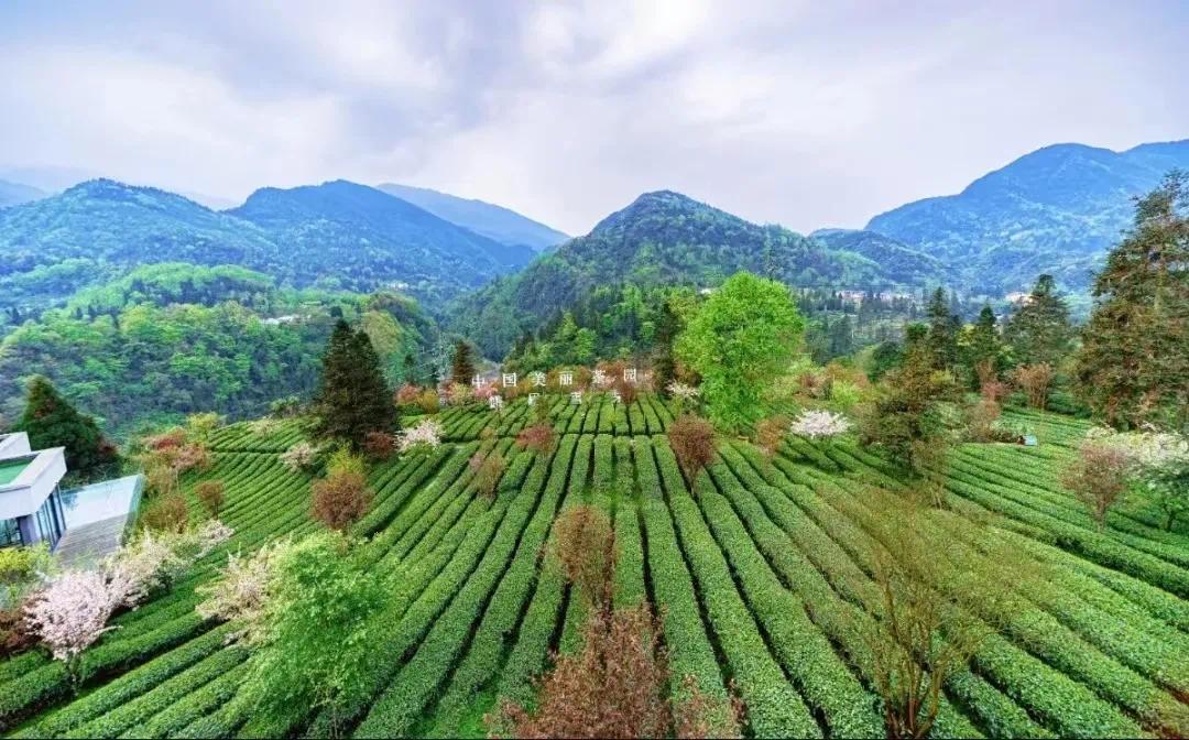 287c18357e2d434583e539061b7e74e5