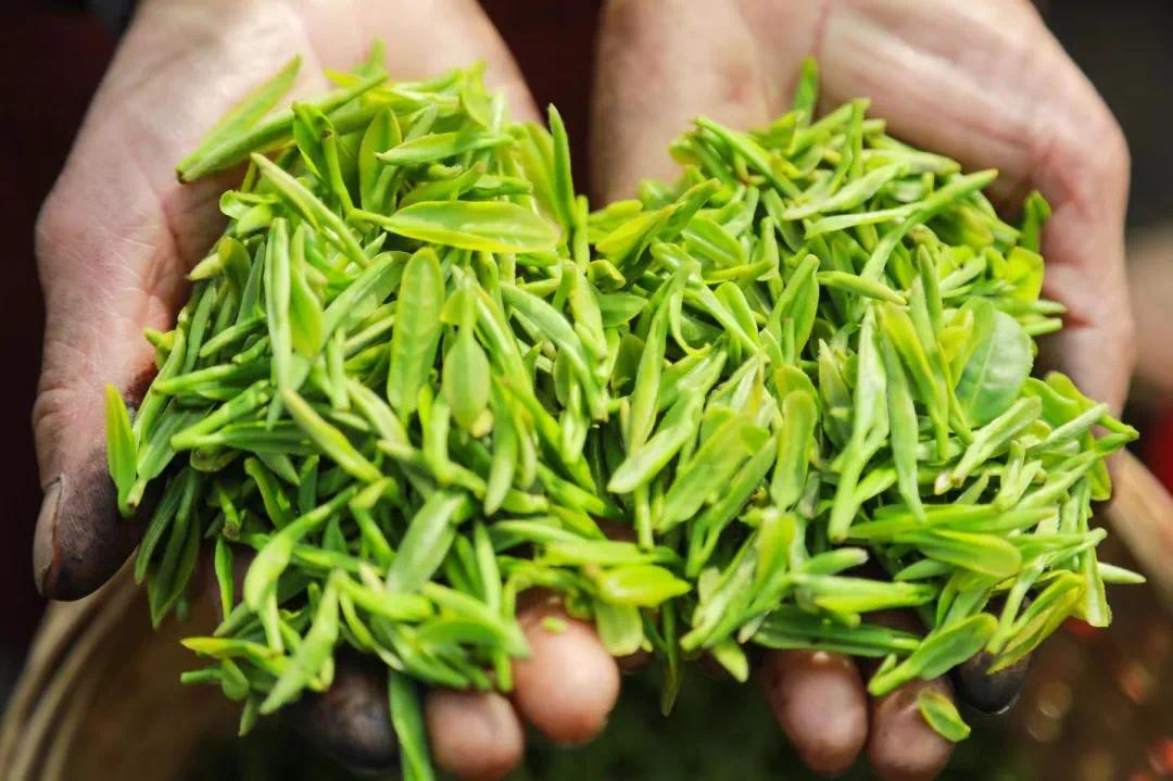 7b82092b131046679fc90991096ccb6d4