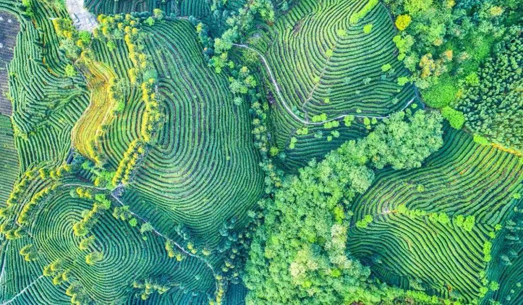 2aaceb016a874eaea3a567f7ce6221543