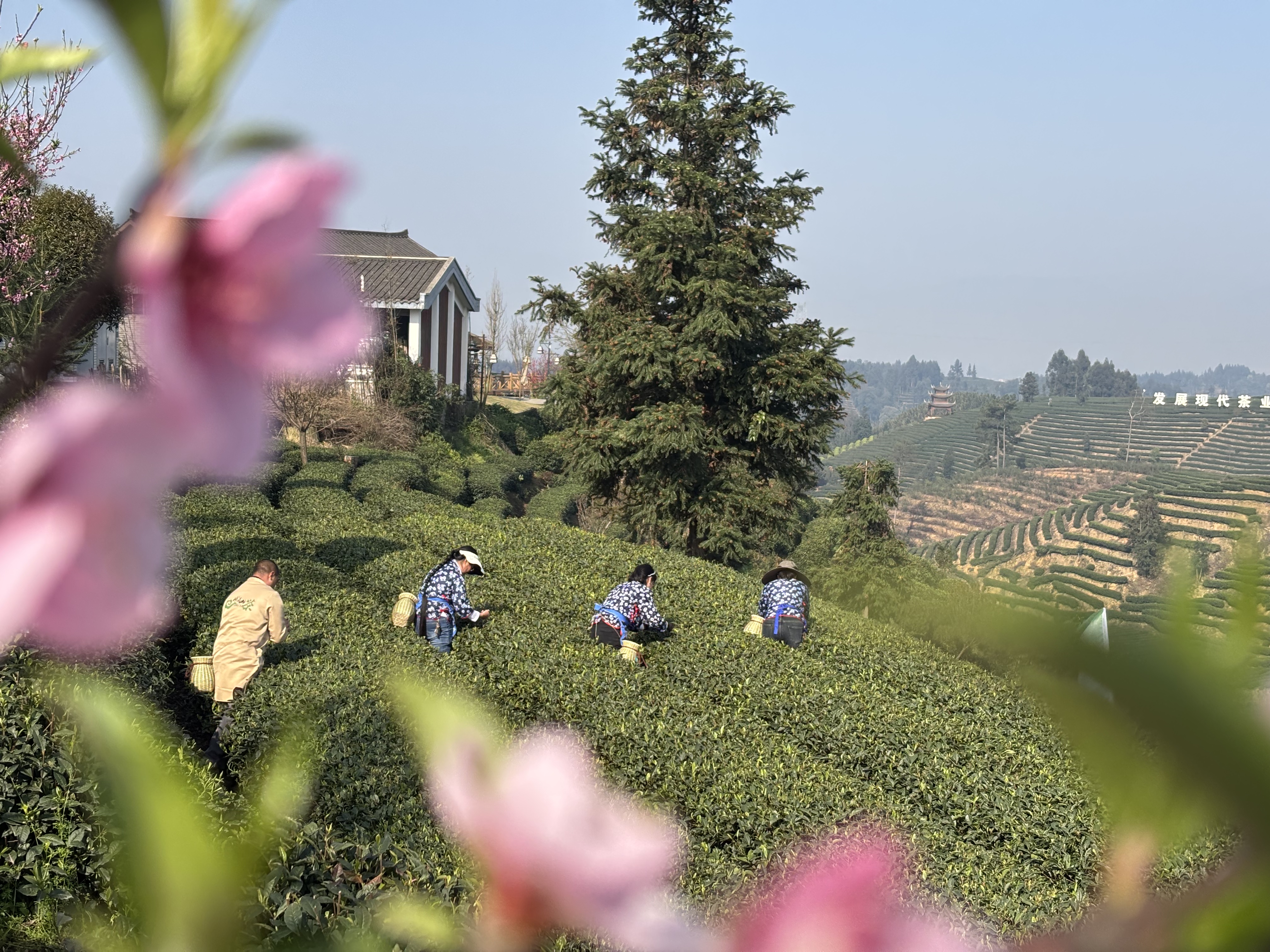 3c2dd4b5b50d4f0aa0362f8bed2c492008