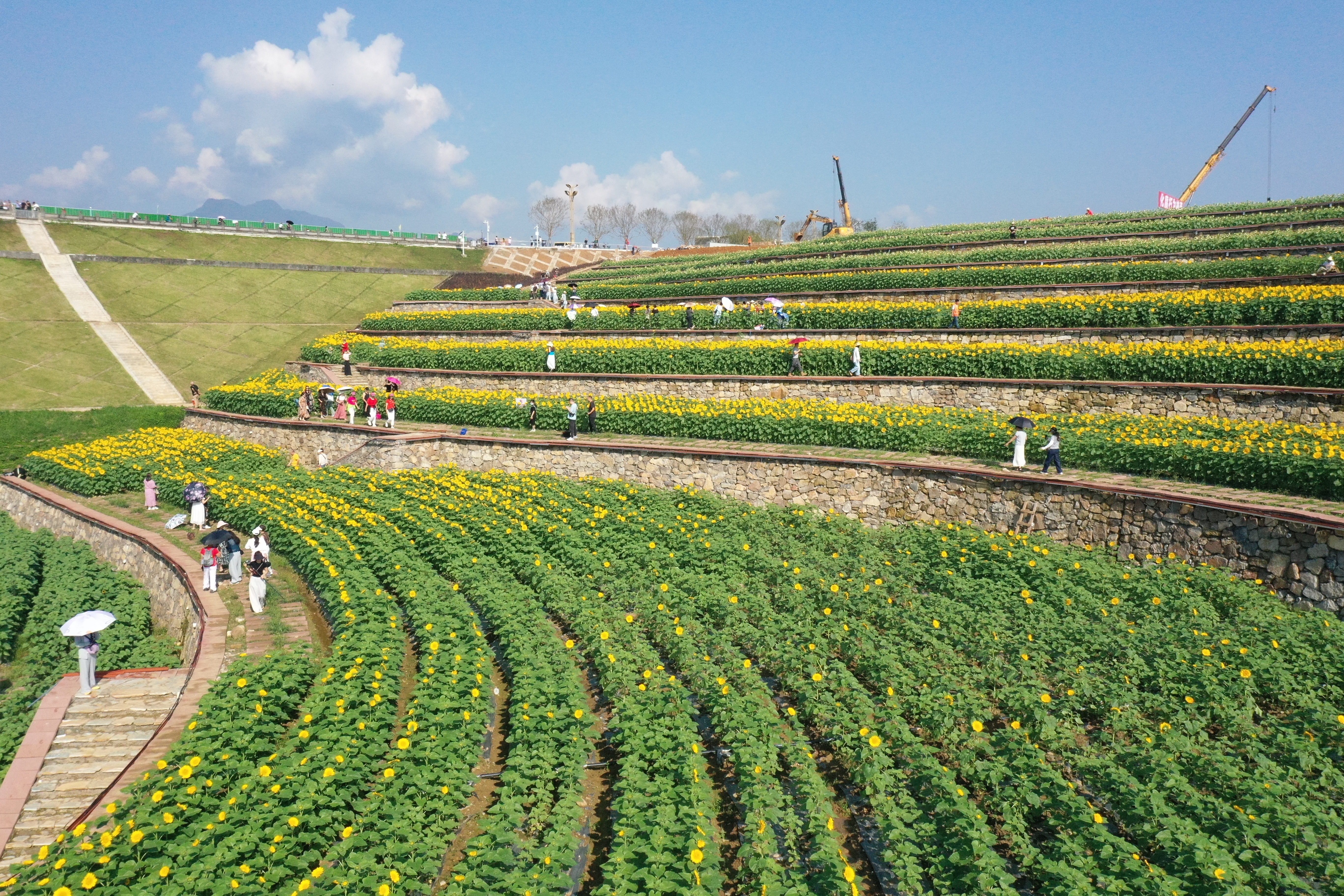 /website-webapp/ewebeditor/uploadfile/99ee4d55fafc4e6b8badebebdd328572