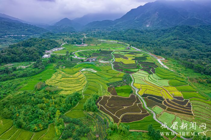 03a142a92feb027b3dc594b835a407eb02