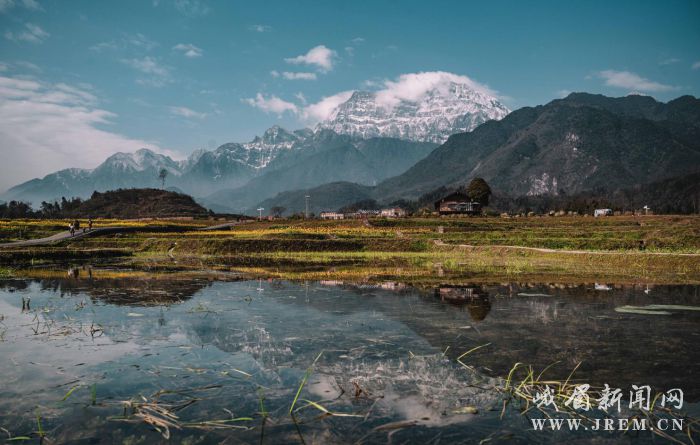 59018401558d6a60dbfbcae43df8596604