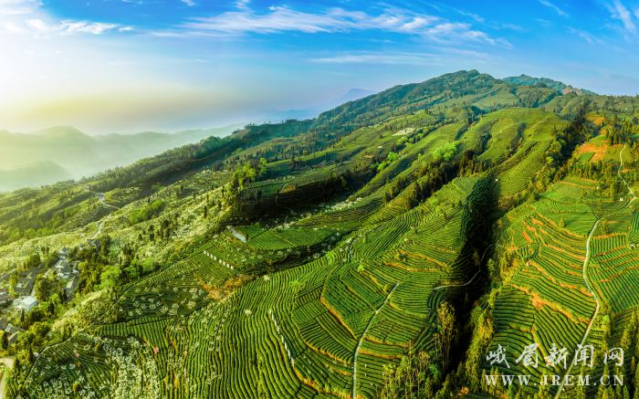 9e257765fef5bf9febba5d976b3ffa7f