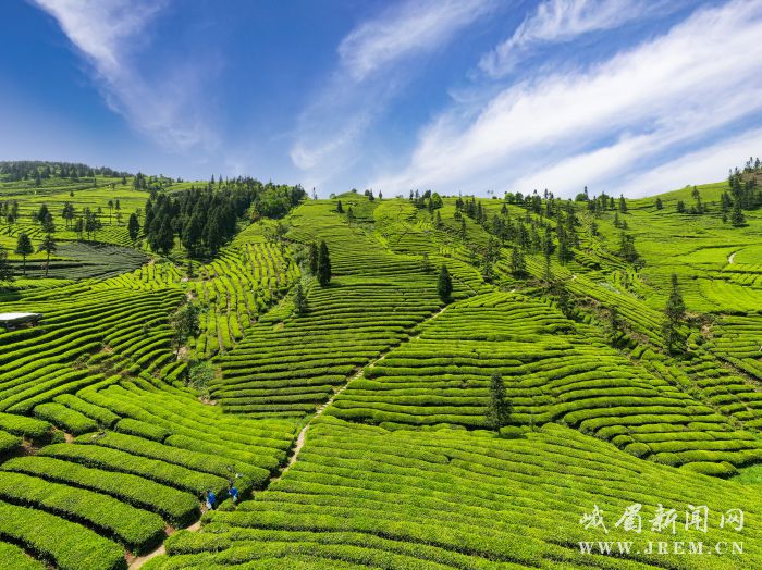 dd32532c16357b454a32c2126997c09c