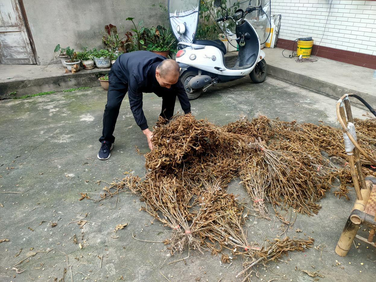 /website-webapp/ewebeditor/uploadfile/图片2