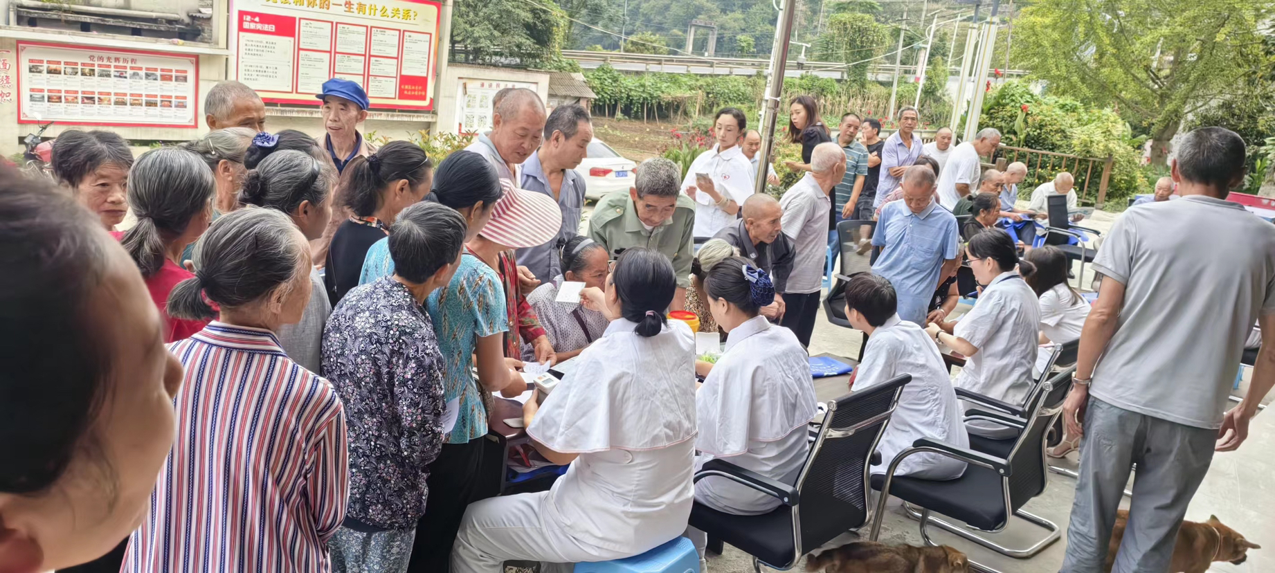 c213a9e0dfc9499a9750cc4d9b49792e