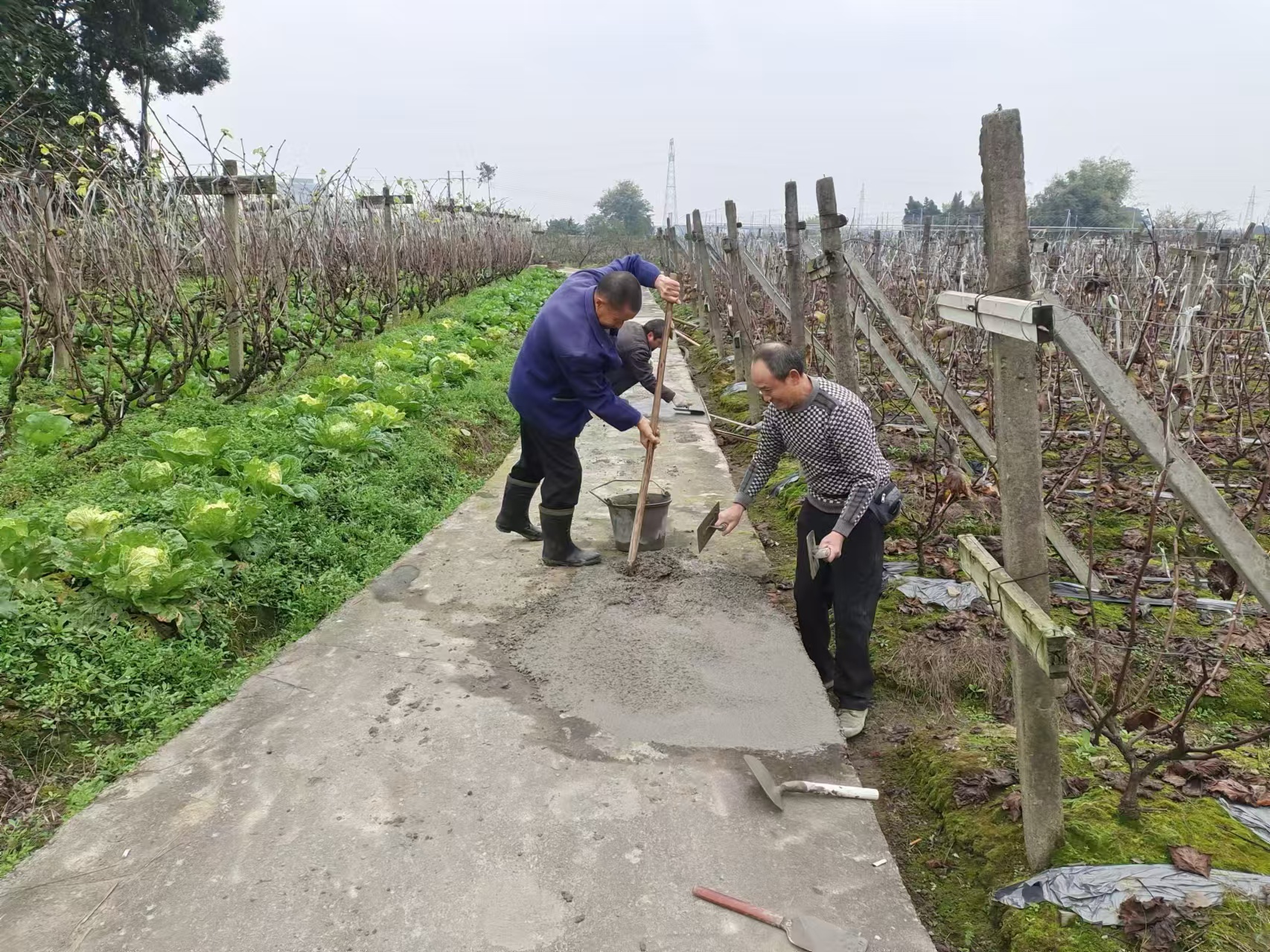 微信图片_20241224151902