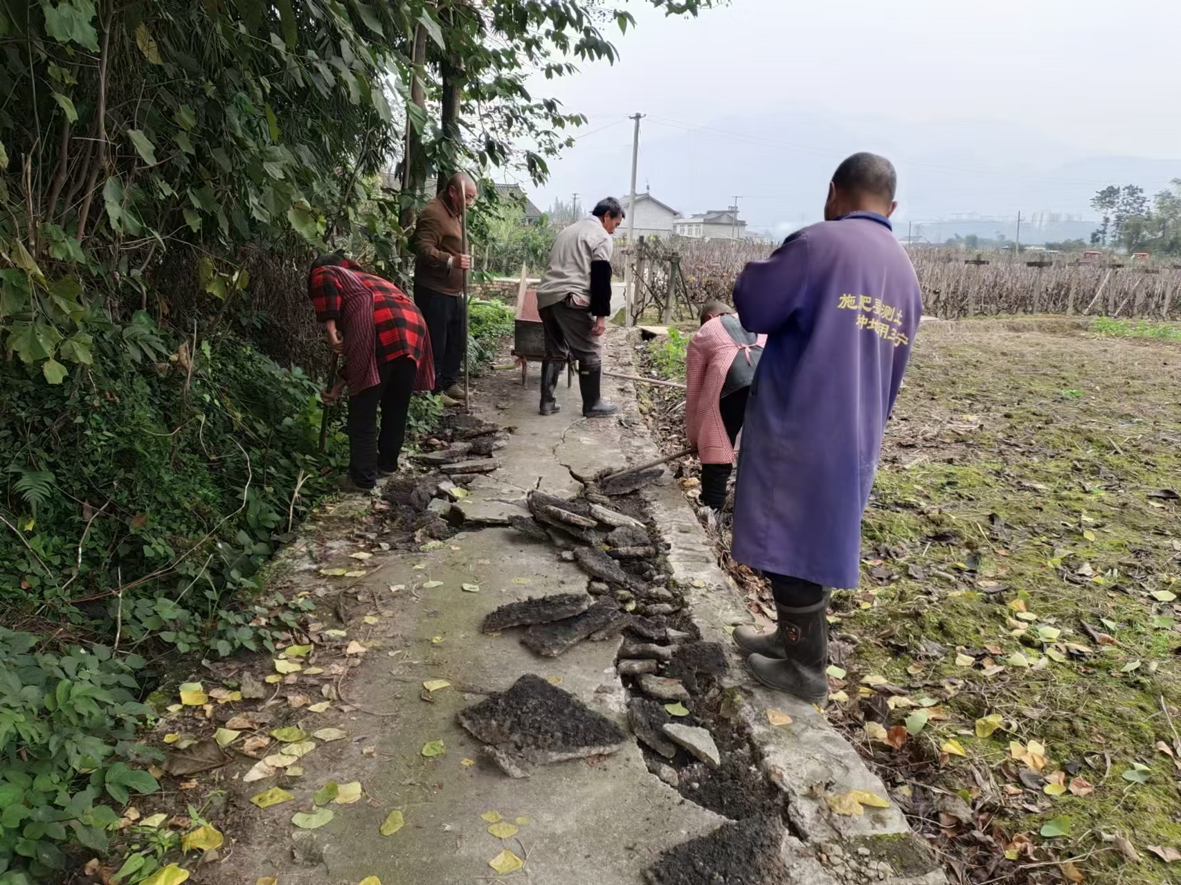 微信图片_20241224151815