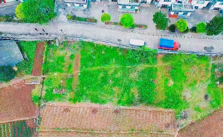 山河村家庭农场所在地块