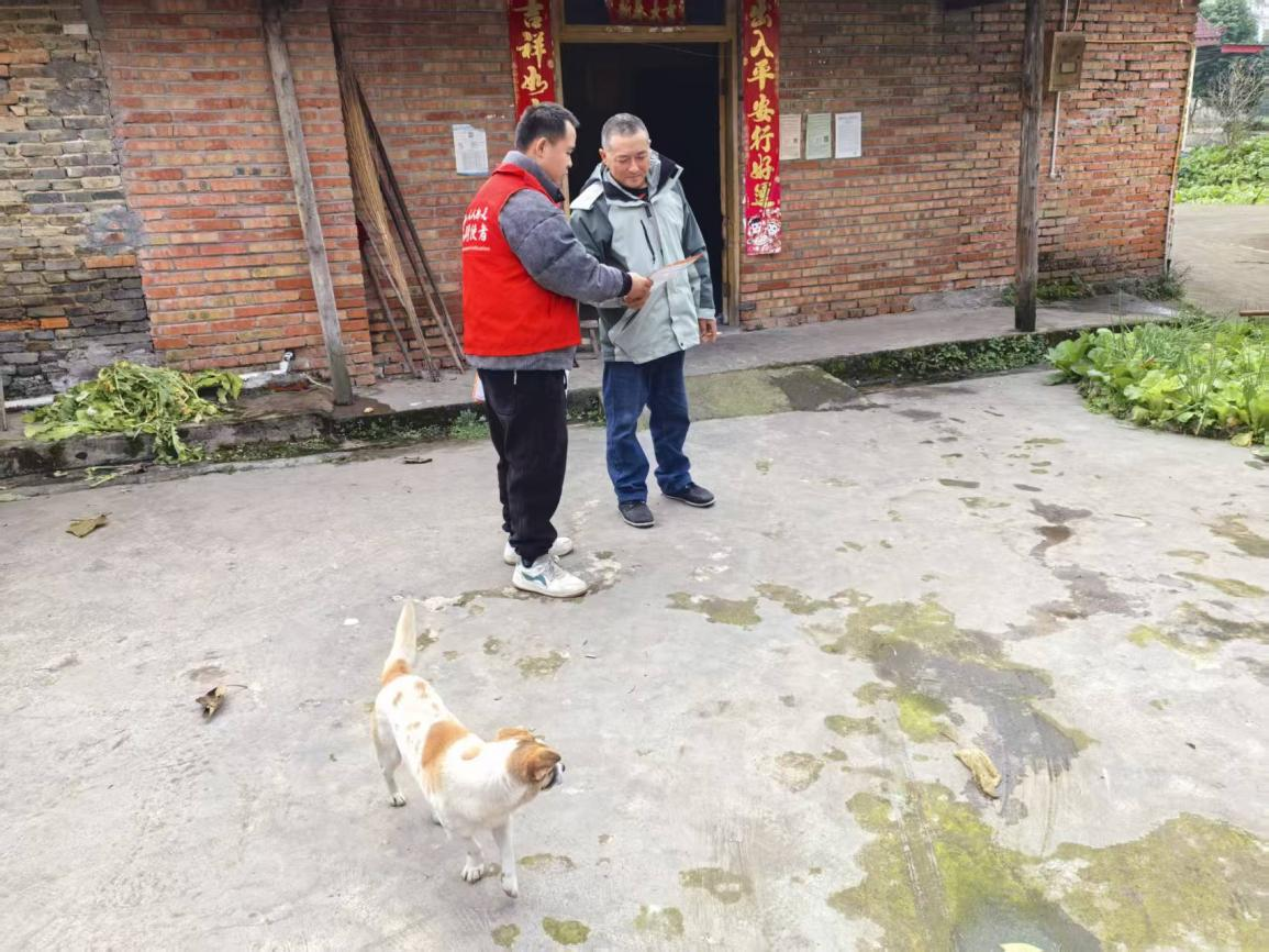 图片4