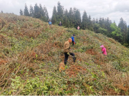 b95b0440a0a04138abdac3d6b33ad158