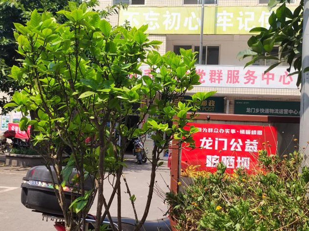 村委会变晾晒场2