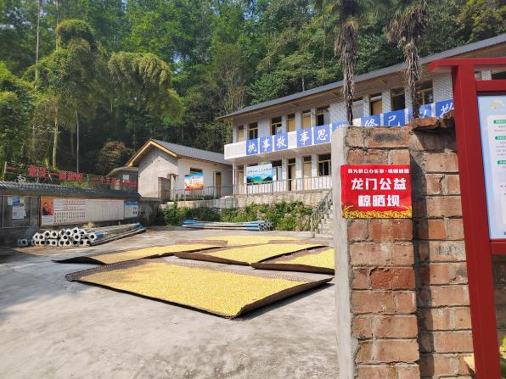 村委会变晾晒场3