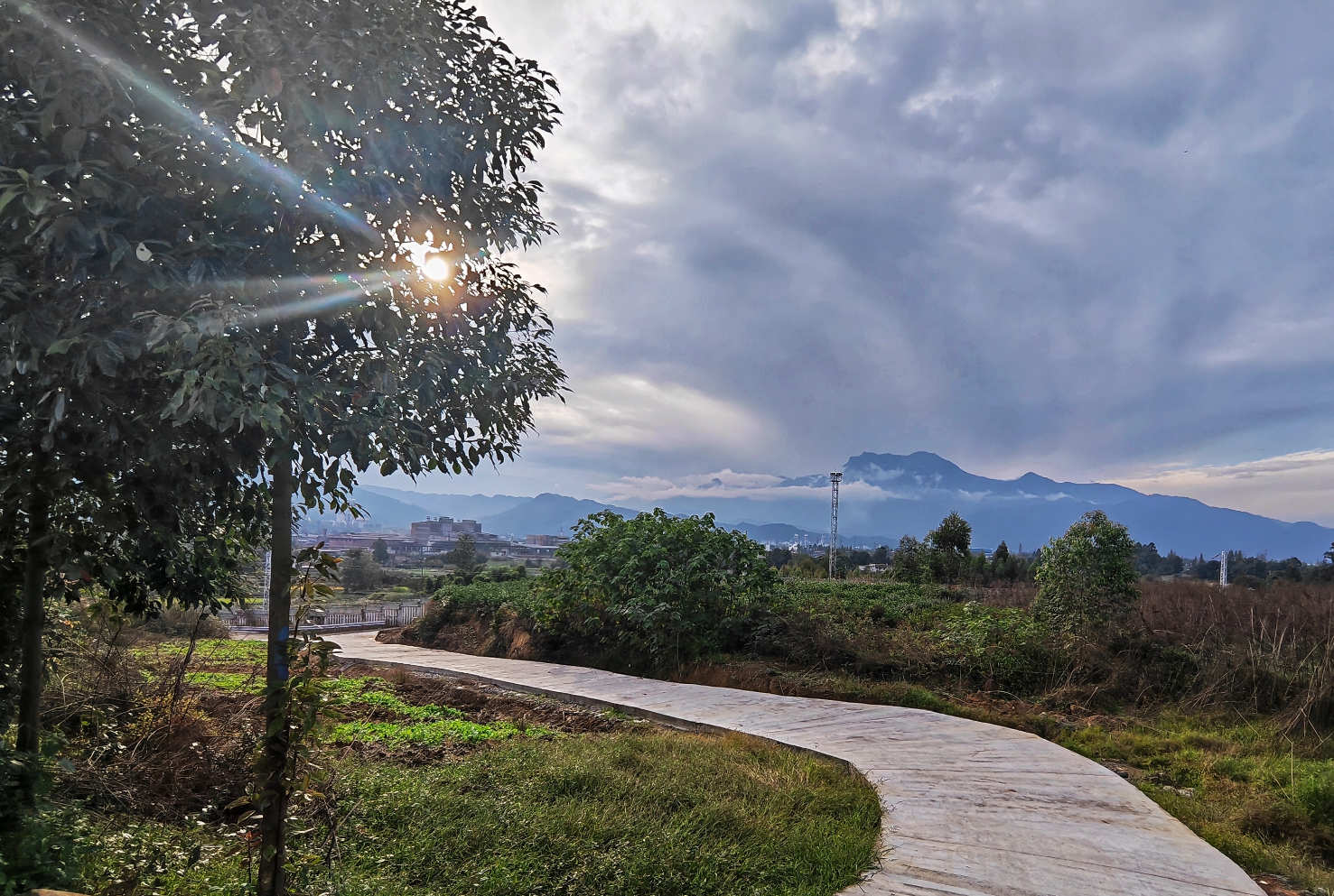 微信图片_20241105152444