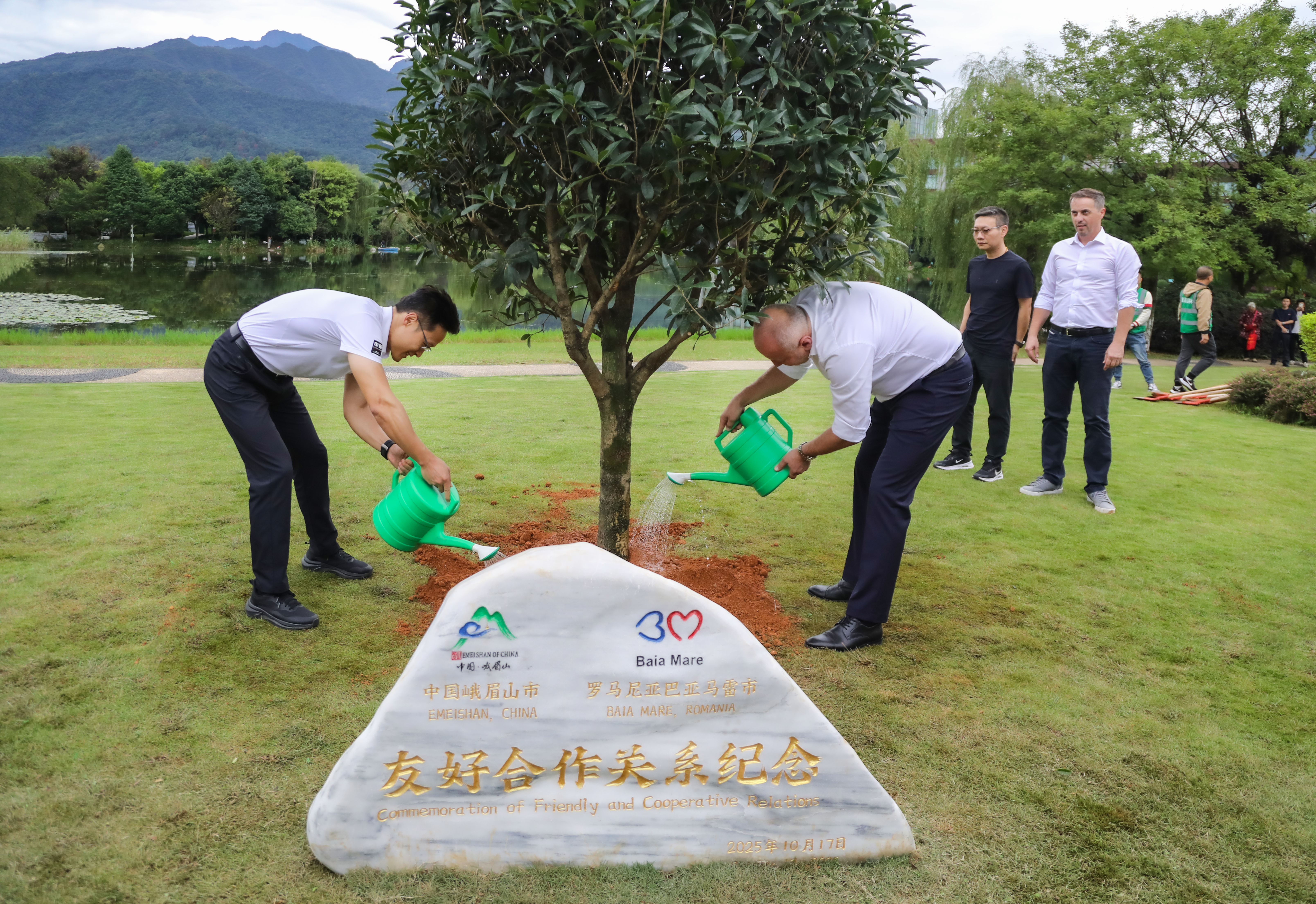 39400d10ed264755a9c552b6a52bc03407