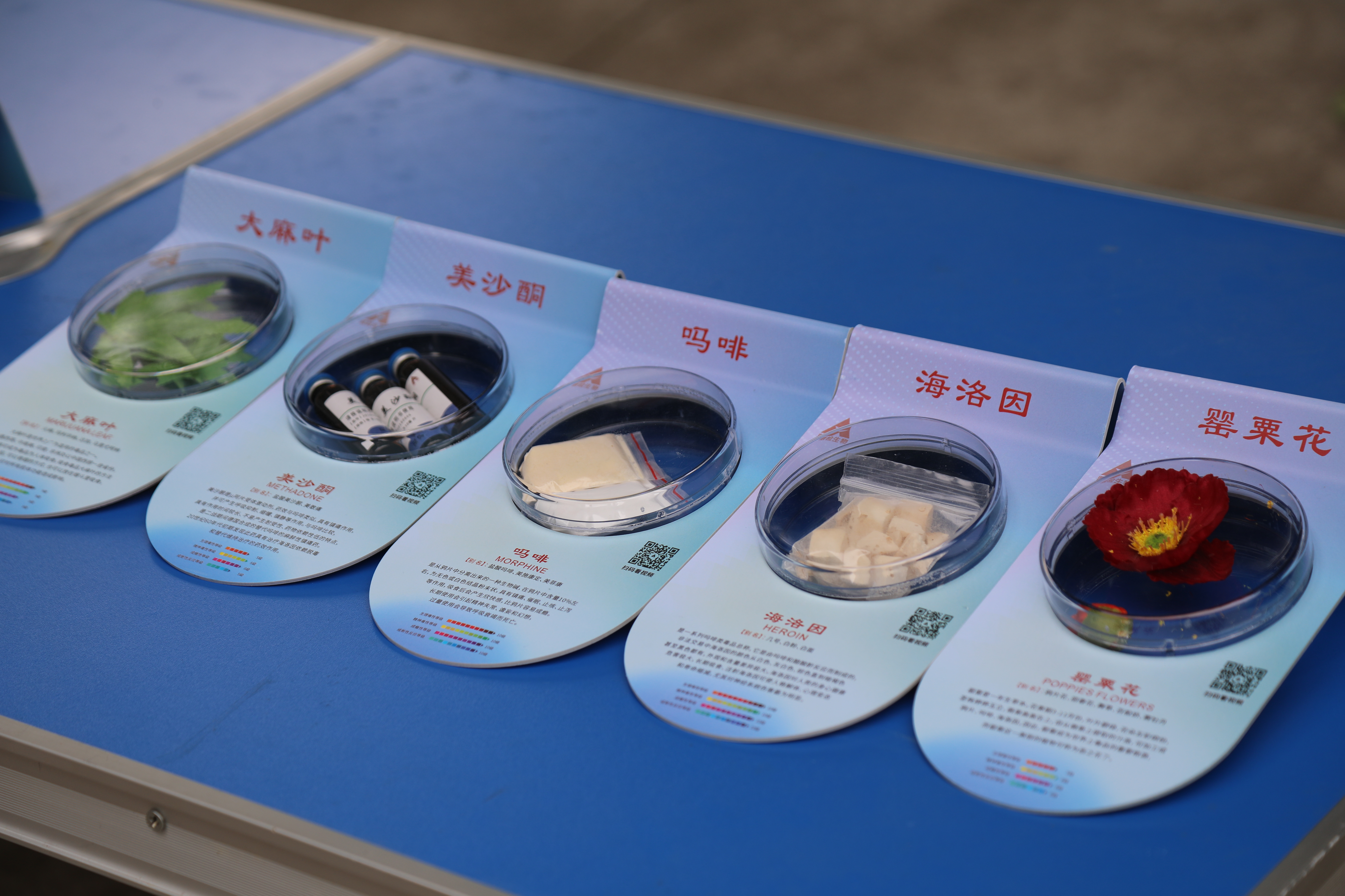 73dc5cf551a94740ab5d954e8eafc64403