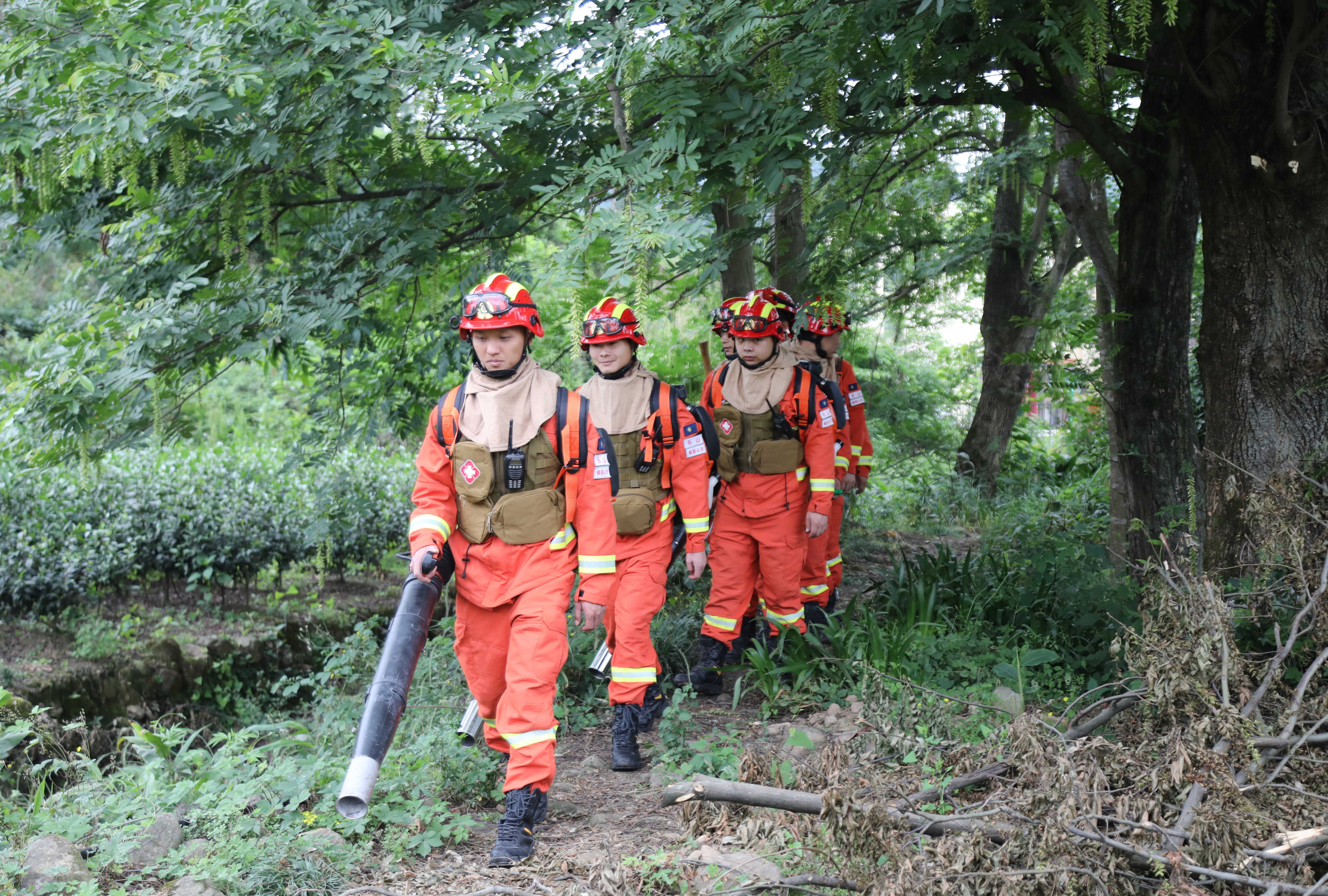 9076e4ef5dcd4736bad6a87b7e113fb504