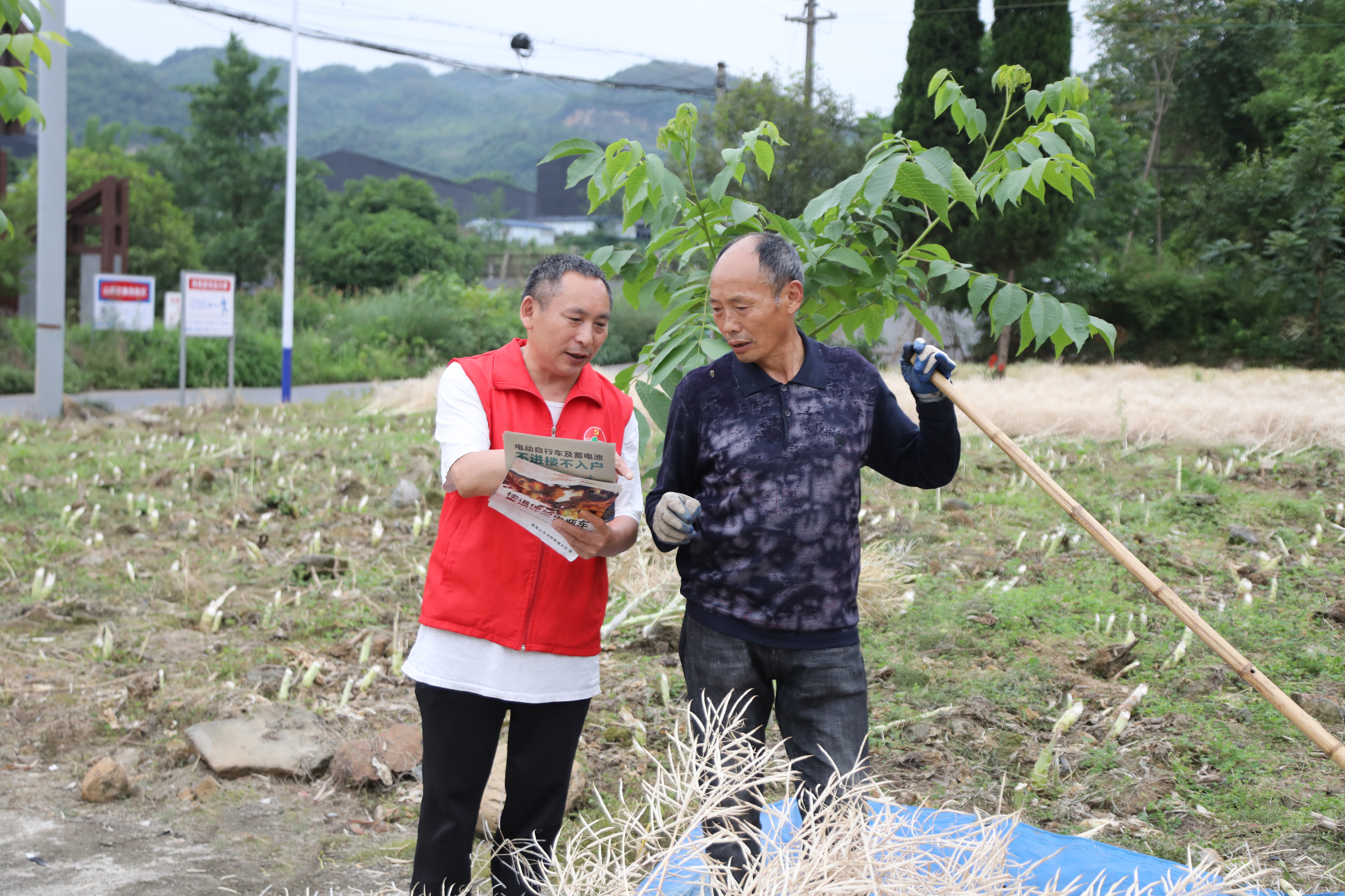 3bc322f37017416aa3d34a46212fe95405