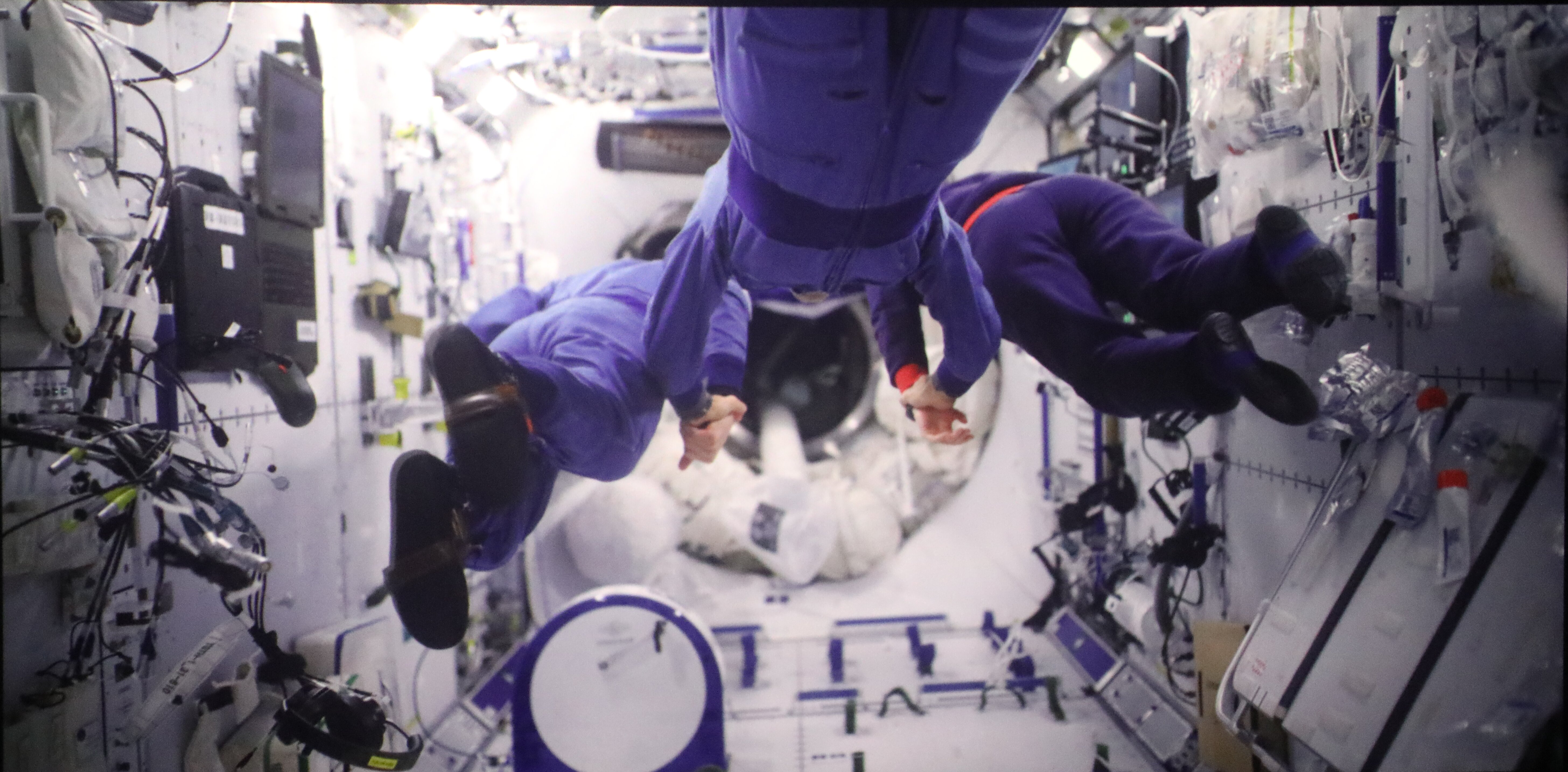 49859d3d98a547cf9ecbc4f66e81731103