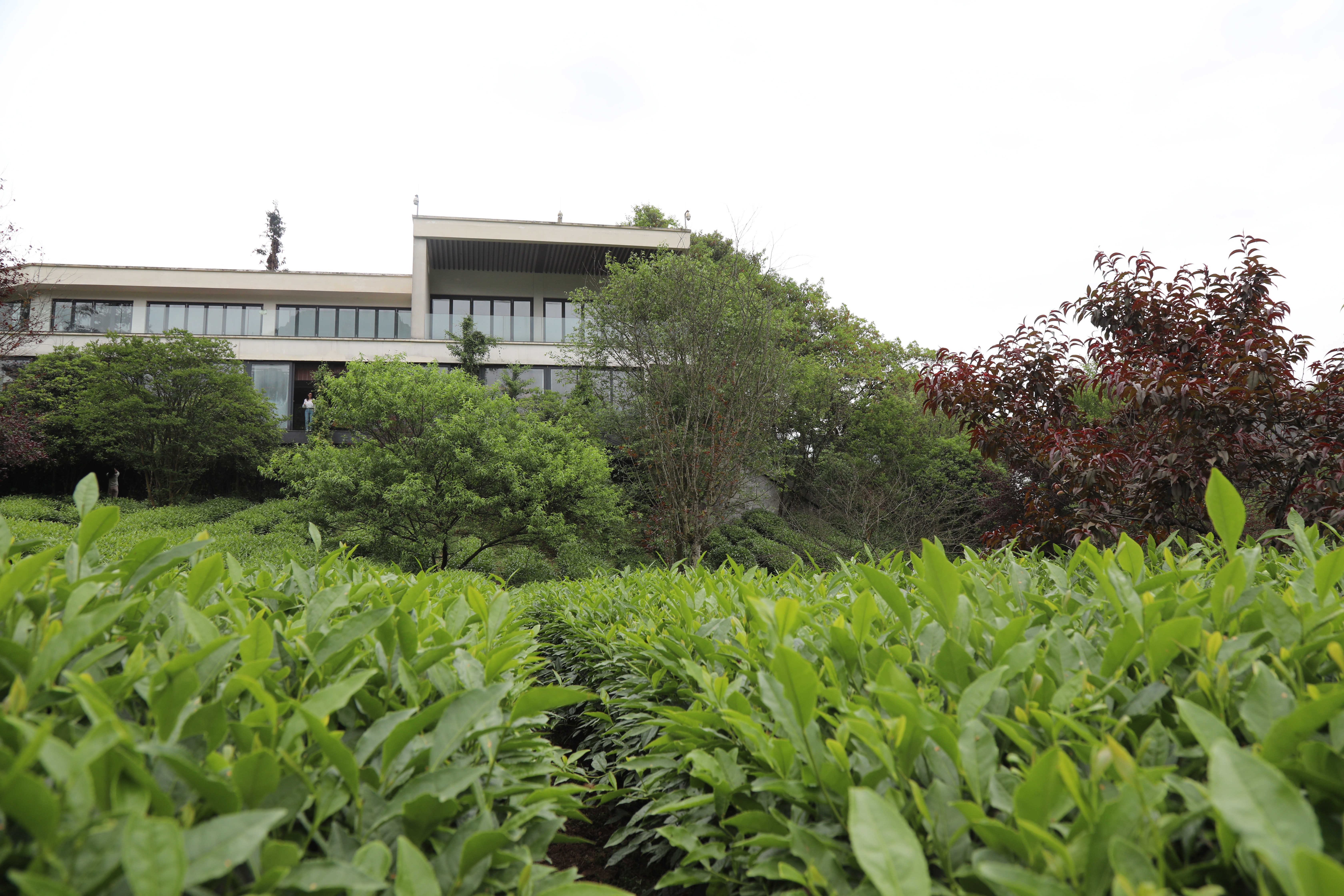 70a3d5a663e04c0aba22d3cfb918338102