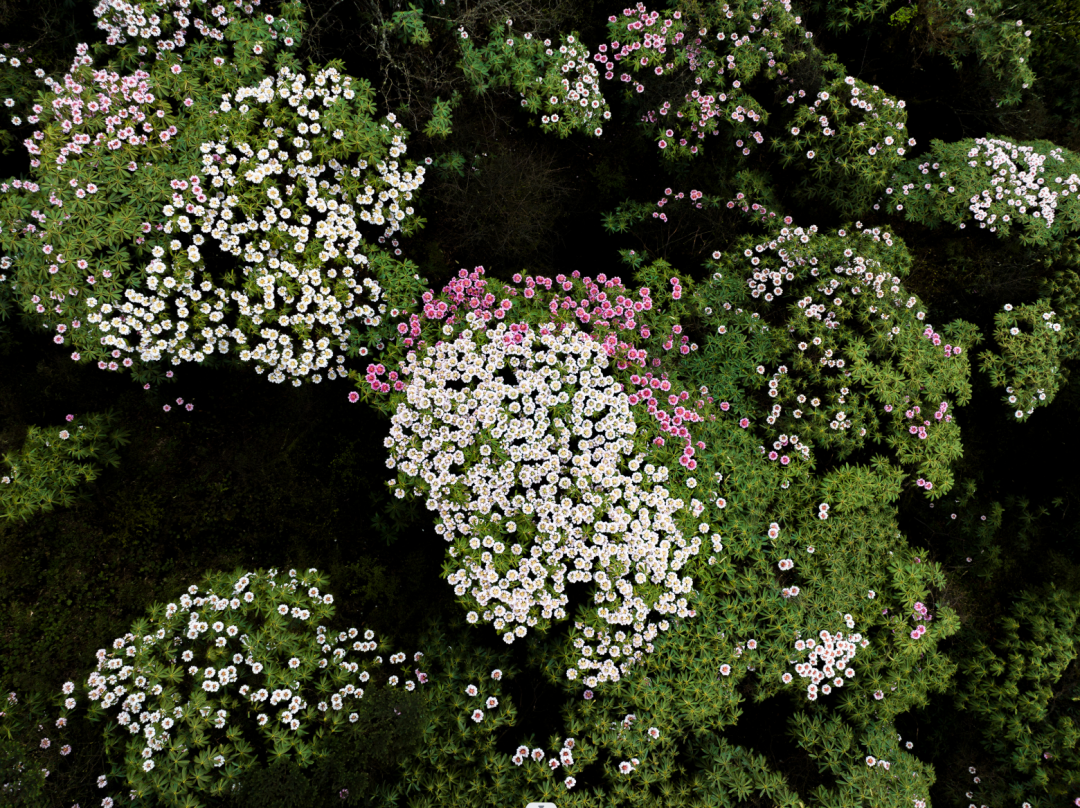 f01dd018159d4a1eb7b09195af83212208