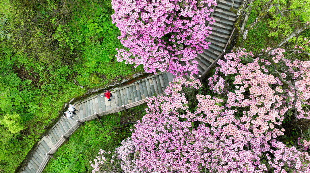 17e5bf607f7e4bc099cc02b7198a504b01