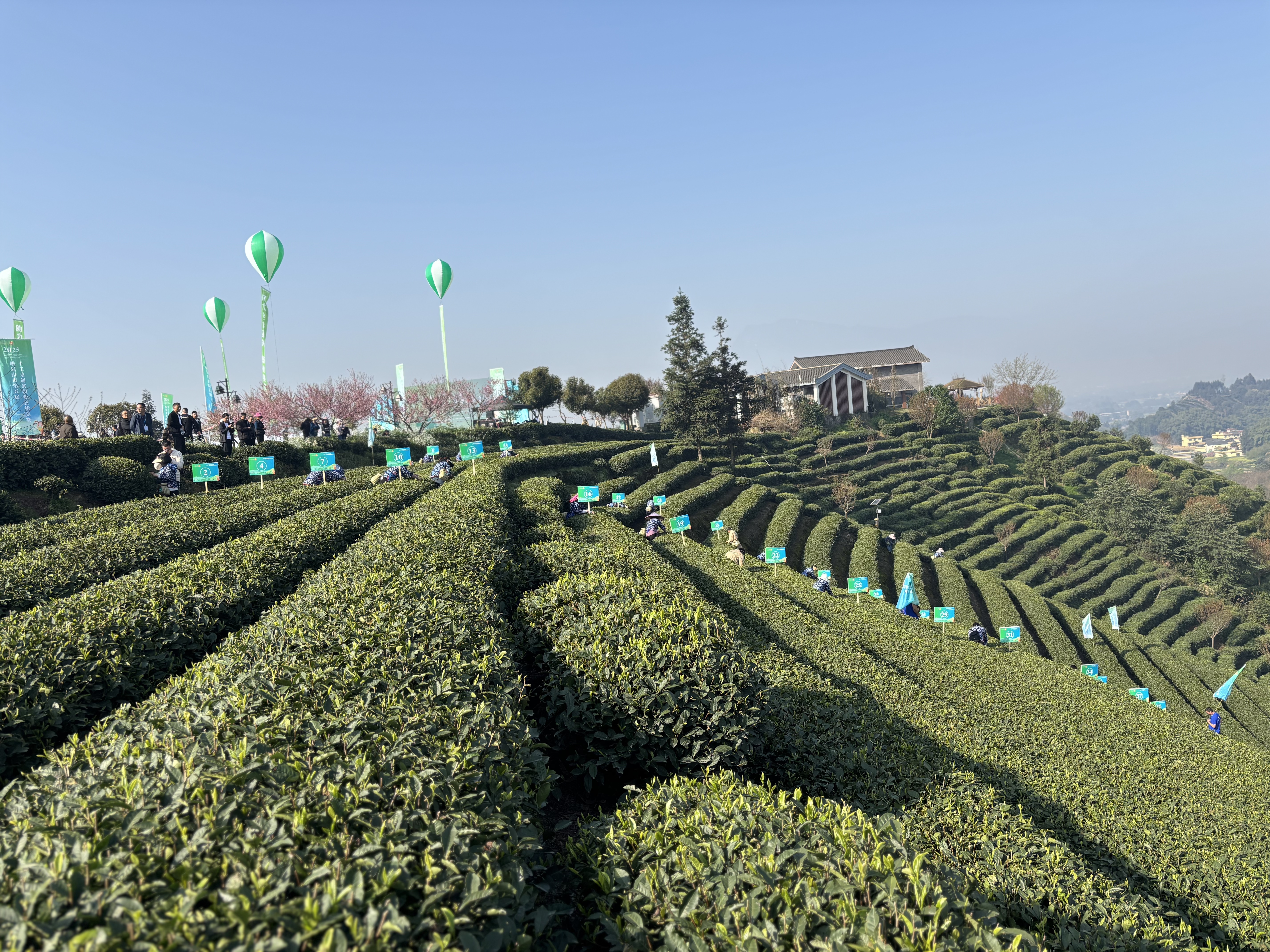 aec358dc307e474cb276fb80be24bcab01